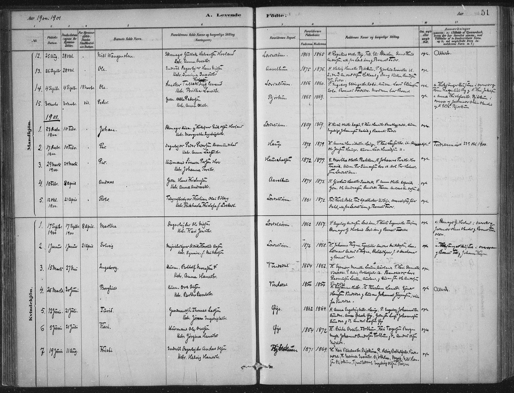 Lærdal sokneprestembete, SAB/A-81201: Ministerialbok nr. D  1, 1878-1908, s. 51