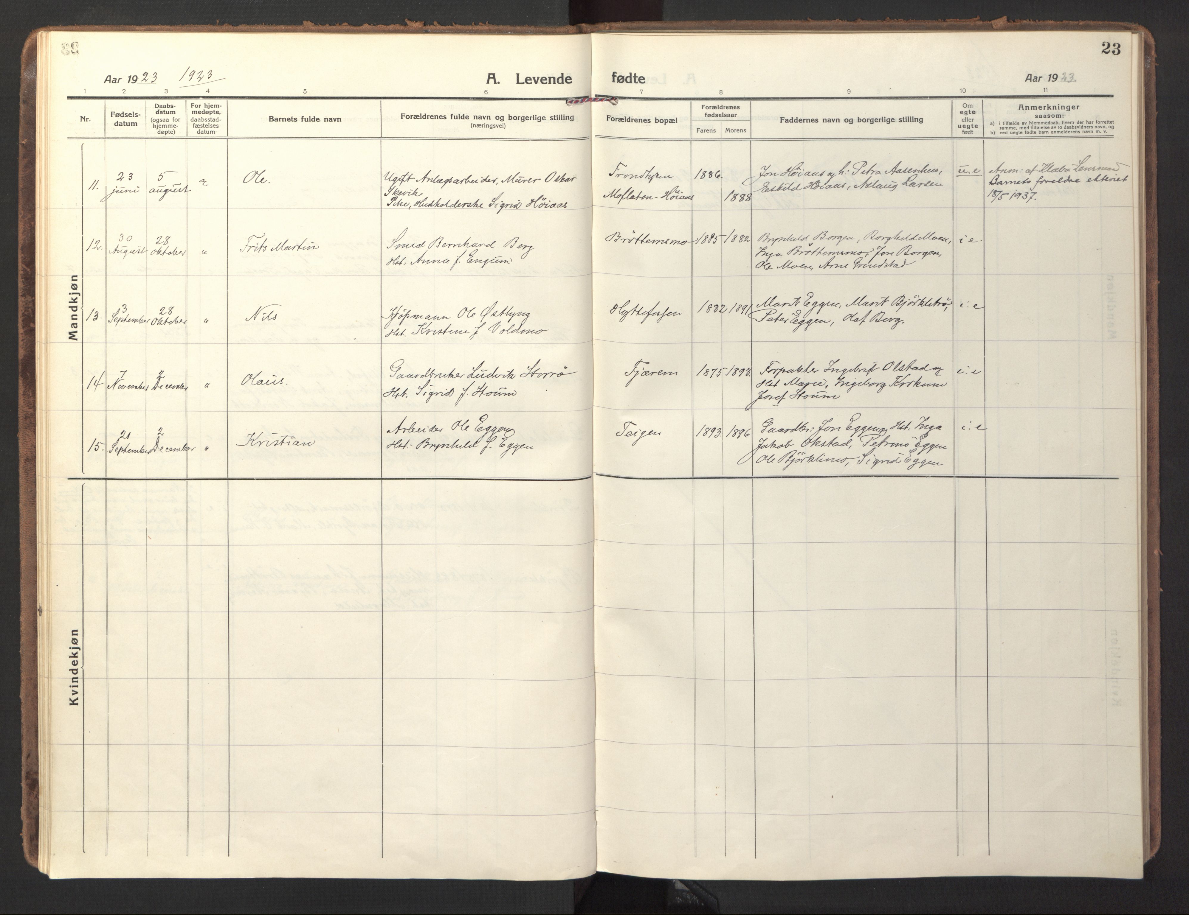 Ministerialprotokoller, klokkerbøker og fødselsregistre - Sør-Trøndelag, SAT/A-1456/618/L0449: Ministerialbok nr. 618A12, 1917-1924, s. 23