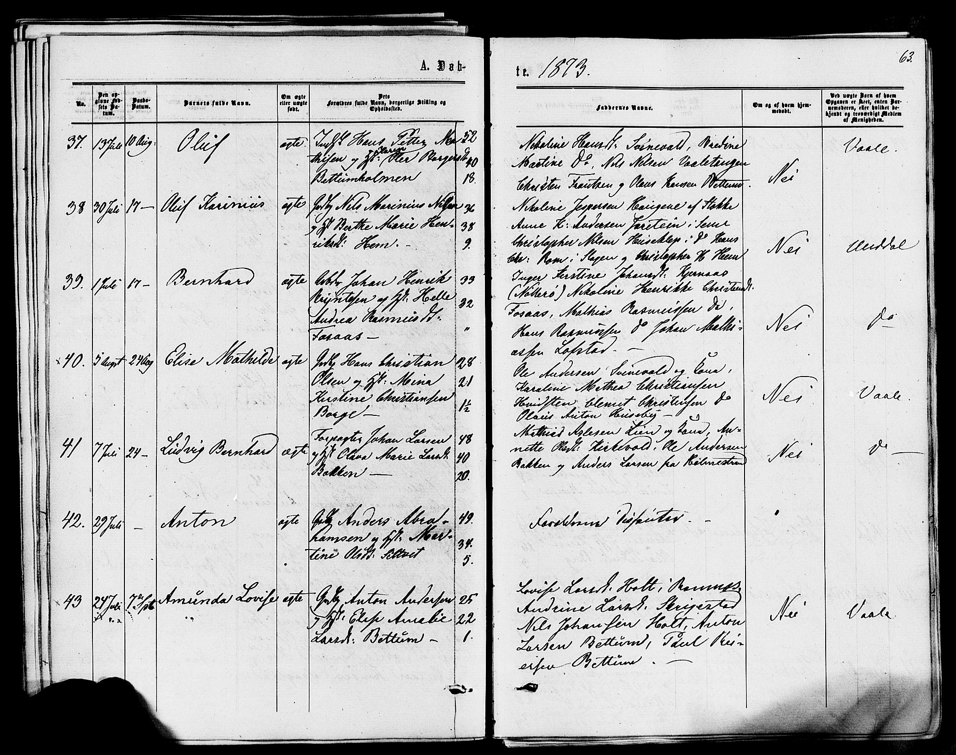 Våle kirkebøker, AV/SAKO-A-334/F/Fa/L0010: Ministerialbok nr. I 10, 1861-1877, s. 63