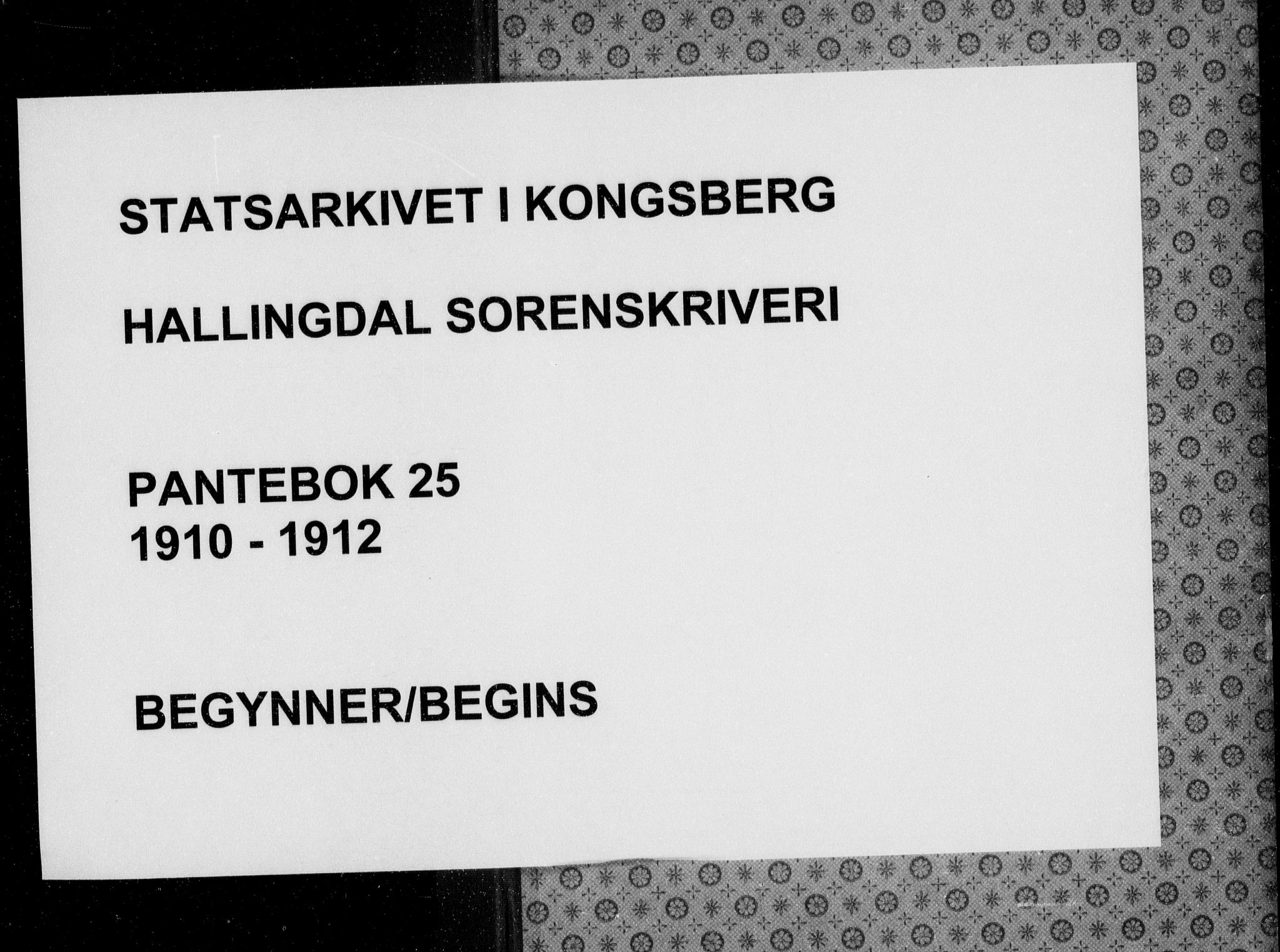 Hallingdal sorenskriveri, AV/SAKO-A-121/G/Ga/L0025: Pantebok nr. 25, 1910-1912