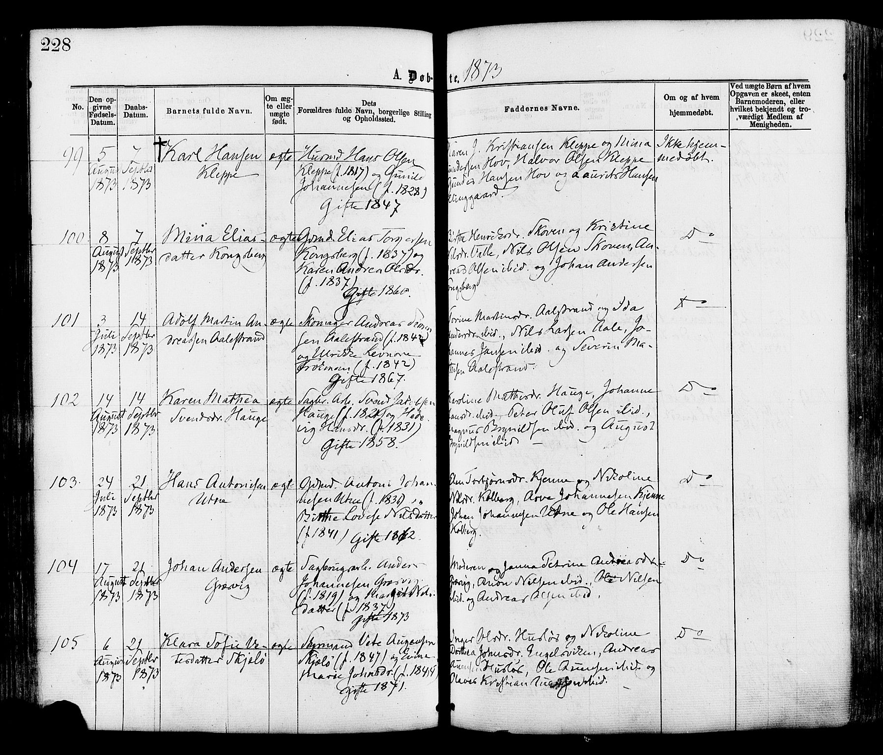 Onsøy prestekontor Kirkebøker, AV/SAO-A-10914/F/Fa/L0004: Ministerialbok nr. I 4, 1861-1877, s. 228