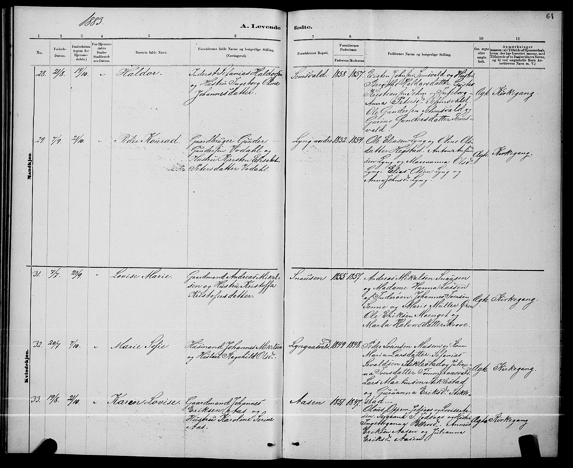 Ministerialprotokoller, klokkerbøker og fødselsregistre - Nord-Trøndelag, AV/SAT-A-1458/723/L0256: Klokkerbok nr. 723C04, 1879-1890, s. 64