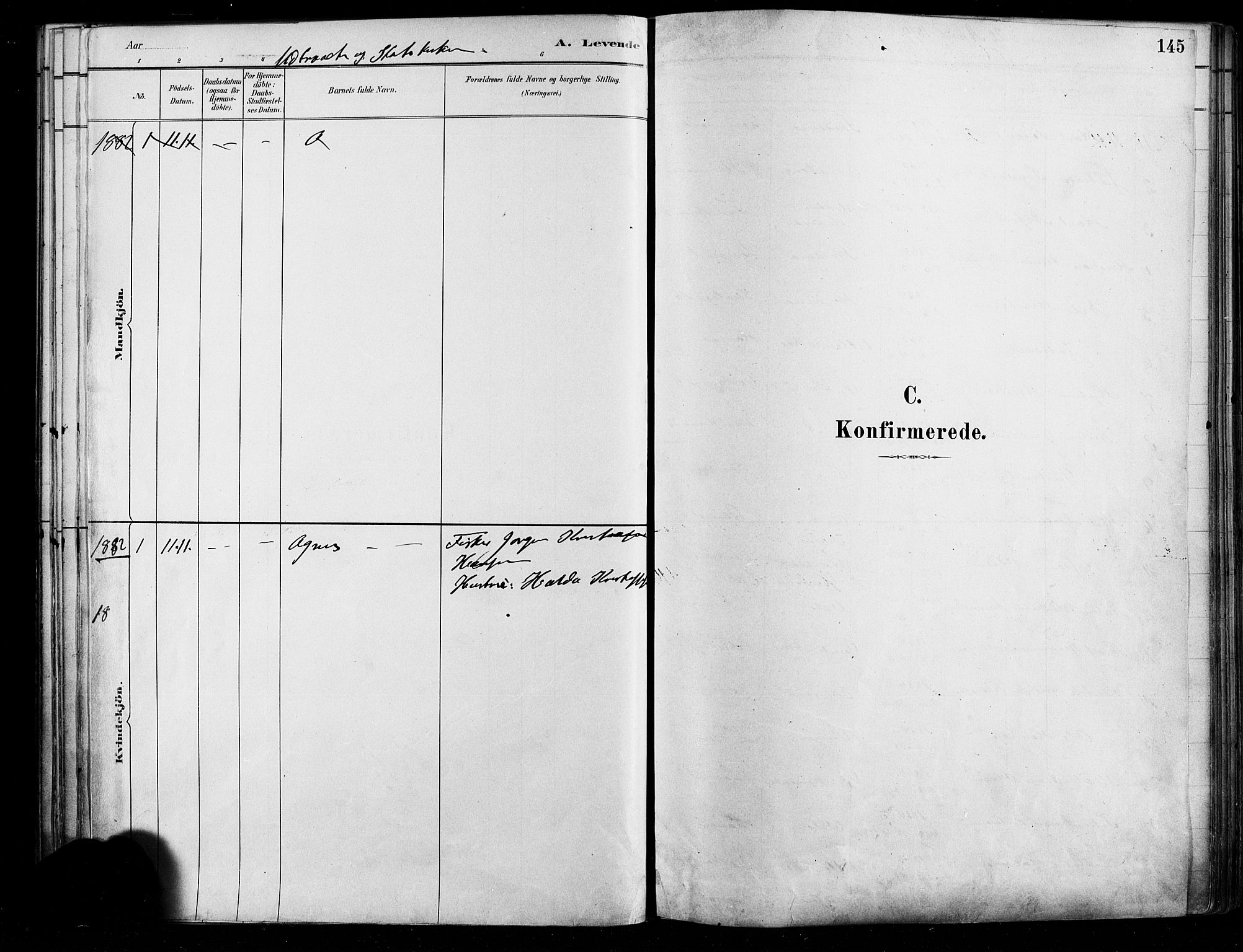 Østre Aker prestekontor Kirkebøker, SAO/A-10840/F/Fa/L0006: Ministerialbok nr. I 5, 1879-1882, s. 145