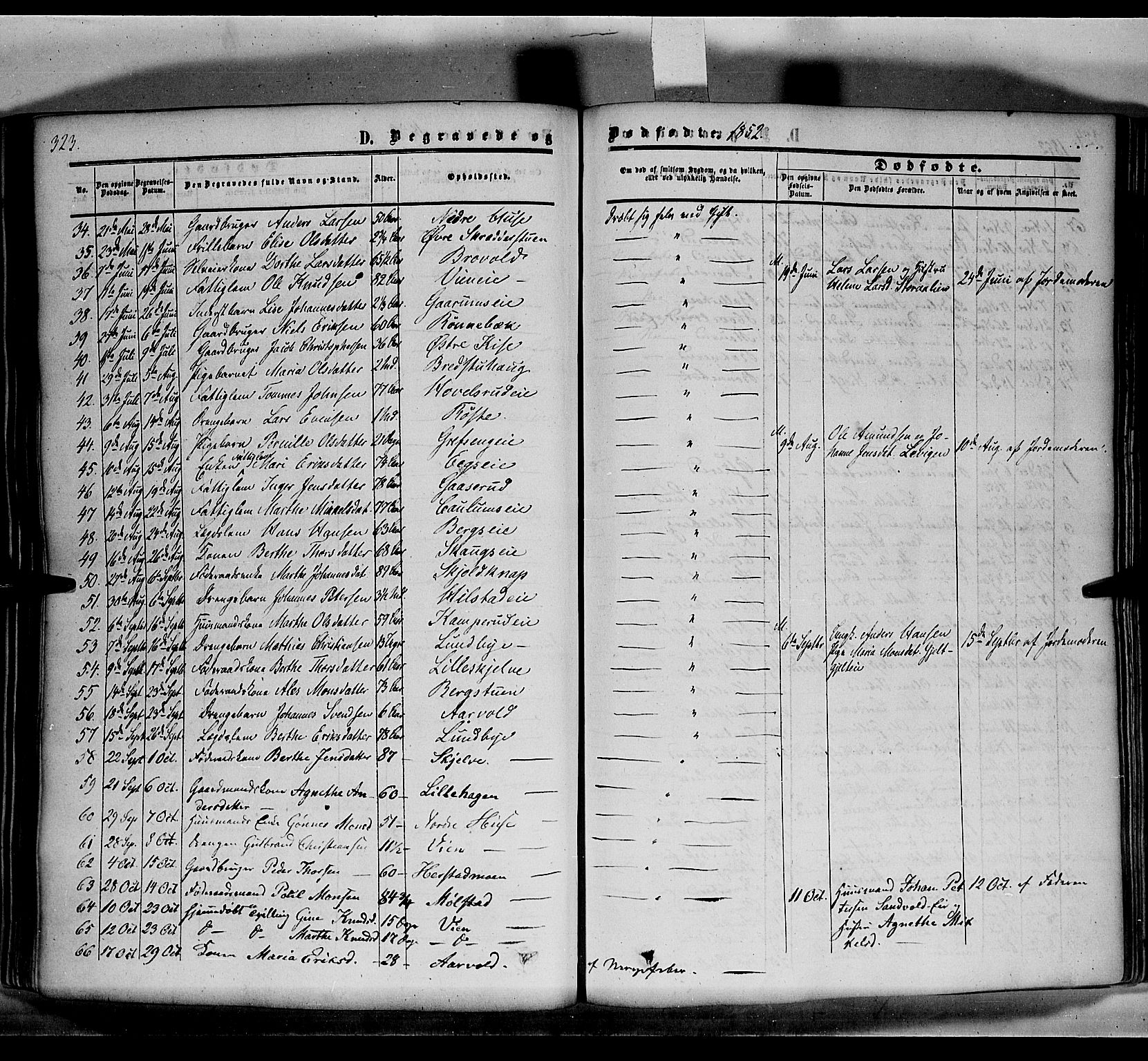 Nes prestekontor, Hedmark, AV/SAH-PREST-020/K/Ka/L0004: Ministerialbok nr. 4, 1852-1886, s. 323