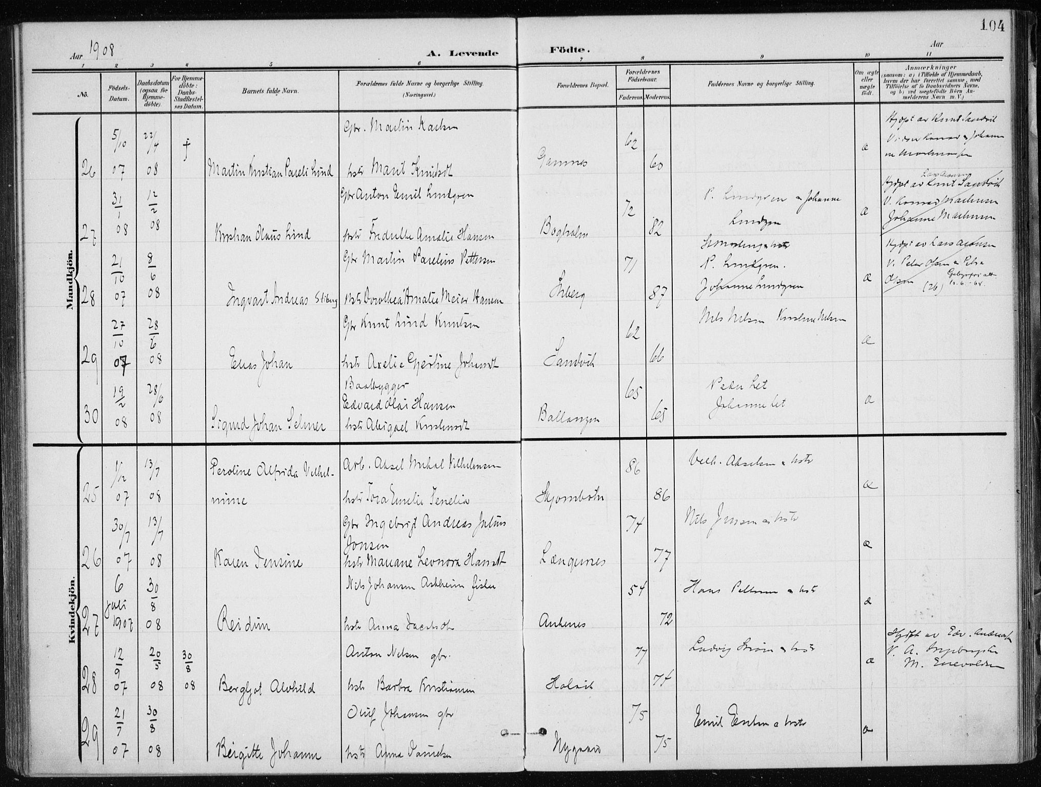 Ministerialprotokoller, klokkerbøker og fødselsregistre - Nordland, AV/SAT-A-1459/866/L0941: Ministerialbok nr. 866A04, 1901-1917, s. 104