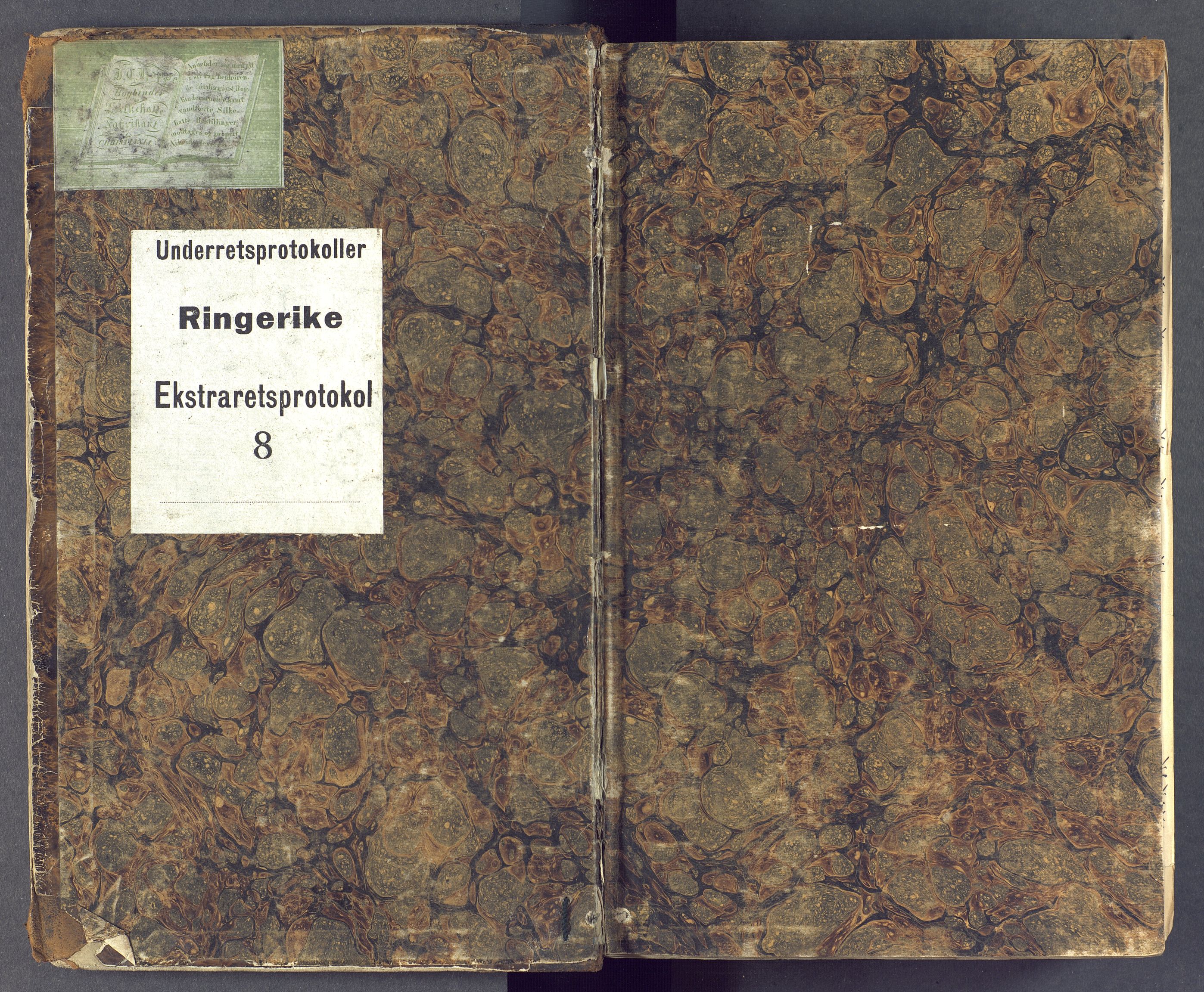 Ringerike sorenskriveri, SAKO/A-105/F/Fc/Fca/L0008: Ekstrarettsprotokoller, 1843-1846
