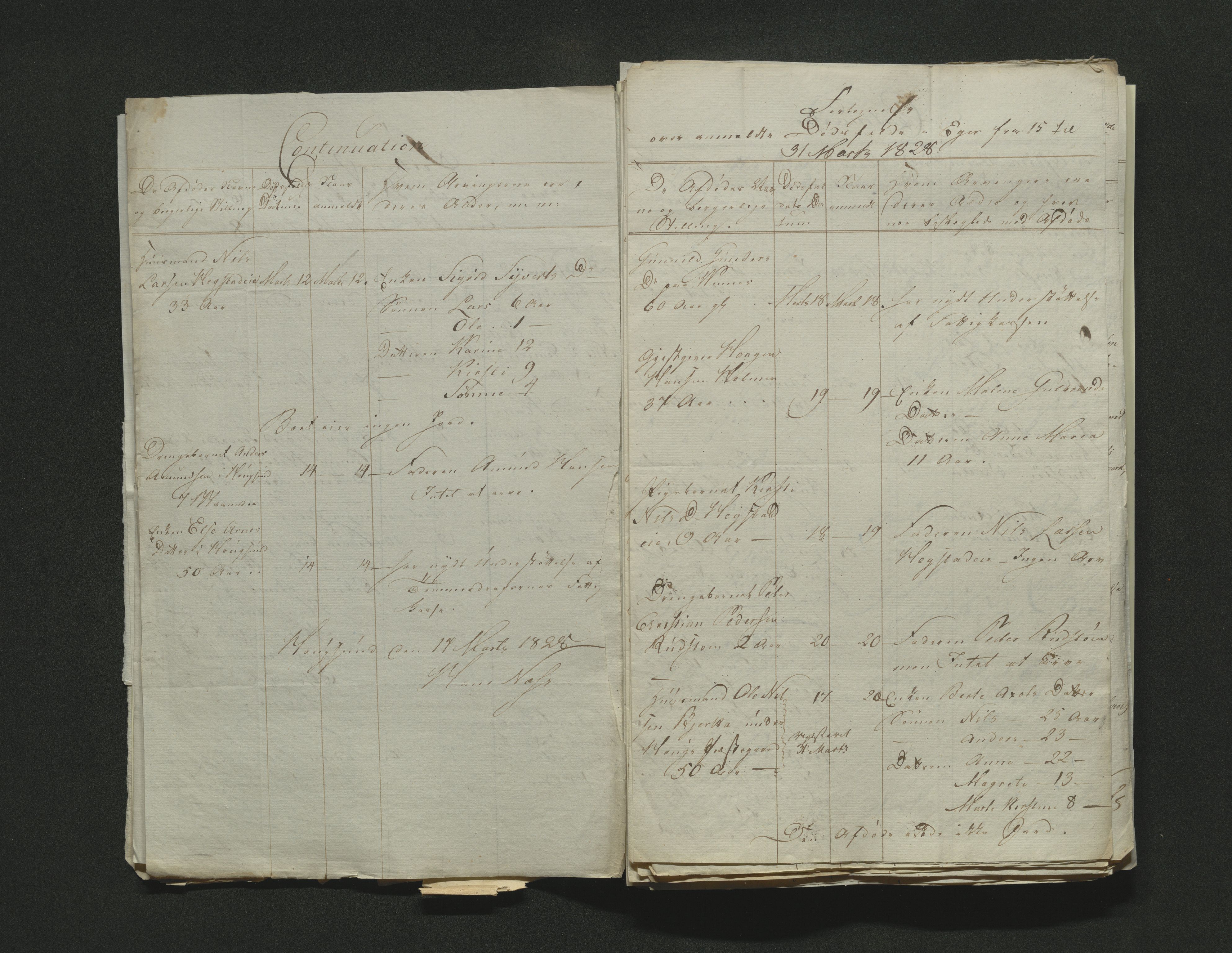 Eiker, Modum og Sigdal sorenskriveri, AV/SAKO-A-123/H/Ha/Hab/L0002: Dødsfallsmeldinger, 1823-1829, s. 249