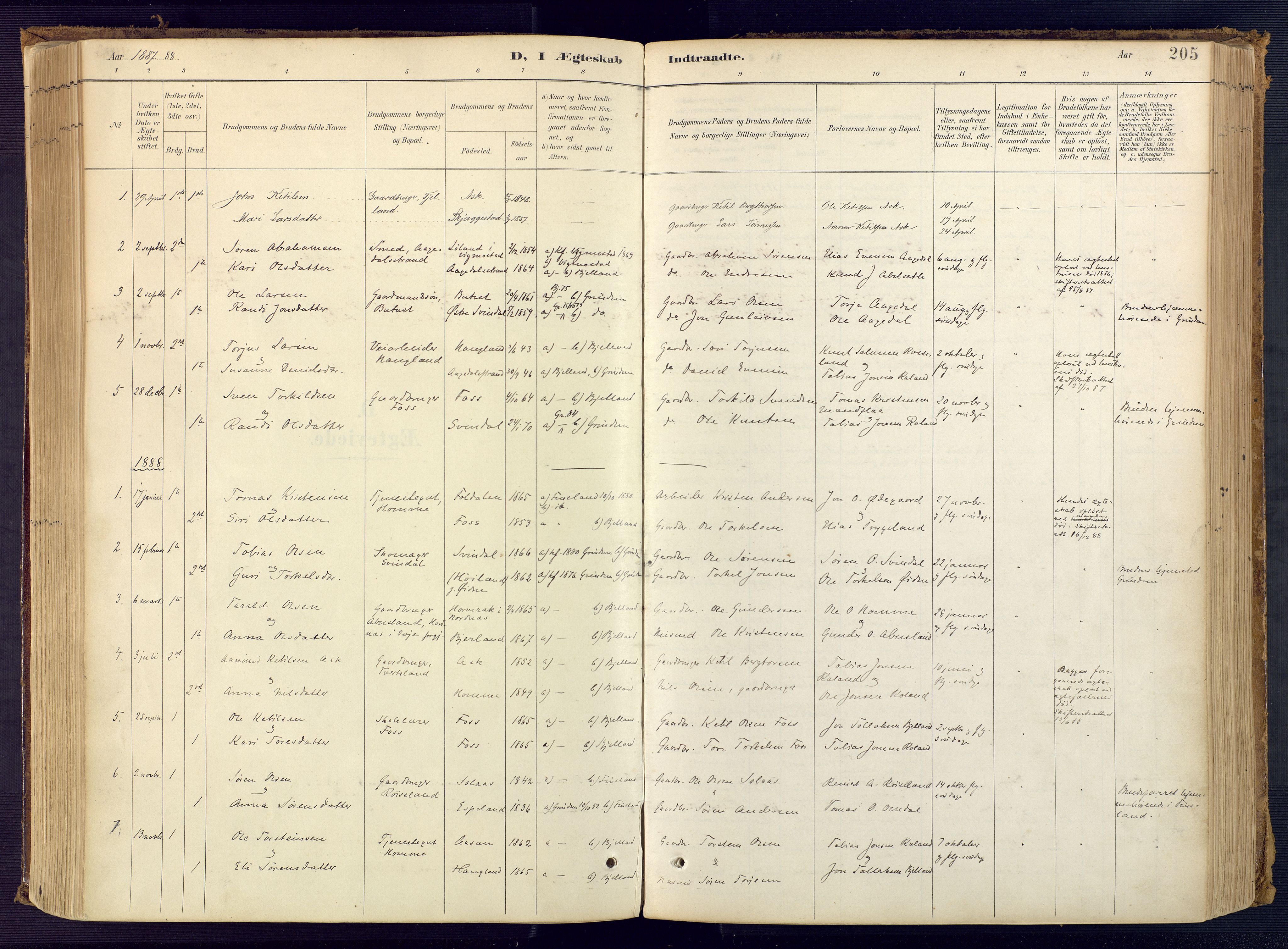 Bjelland sokneprestkontor, AV/SAK-1111-0005/F/Fa/Faa/L0004: Ministerialbok nr. A 4, 1887-1923, s. 205