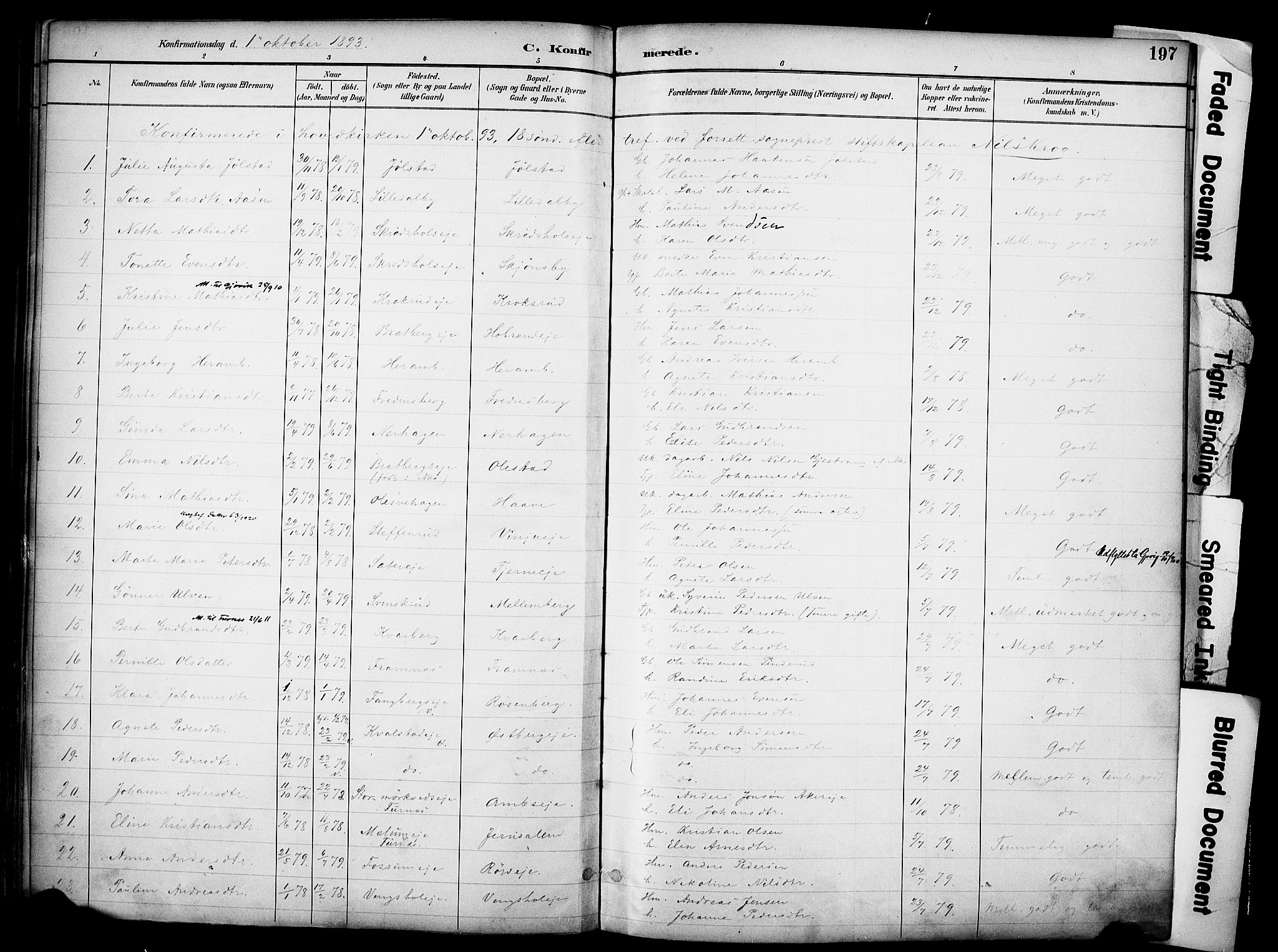Ringsaker prestekontor, SAH/PREST-014/K/Ka/L0017: Ministerialbok nr. 17, 1891-1902, s. 197
