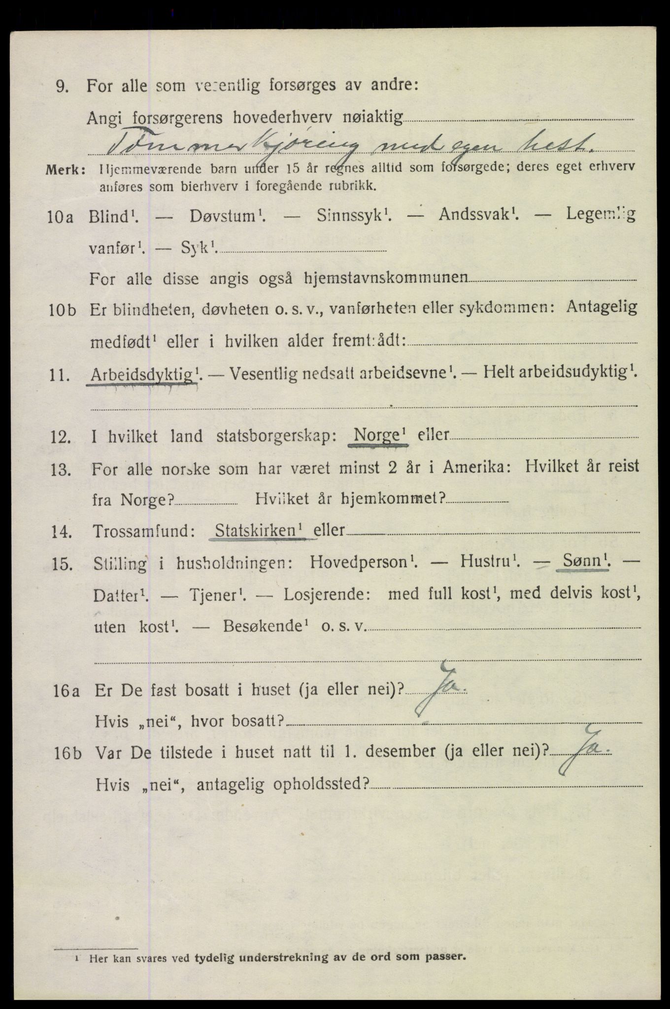 SAH, Folketelling 1920 for 0418 Nord-Odal herred, 1920, s. 5016