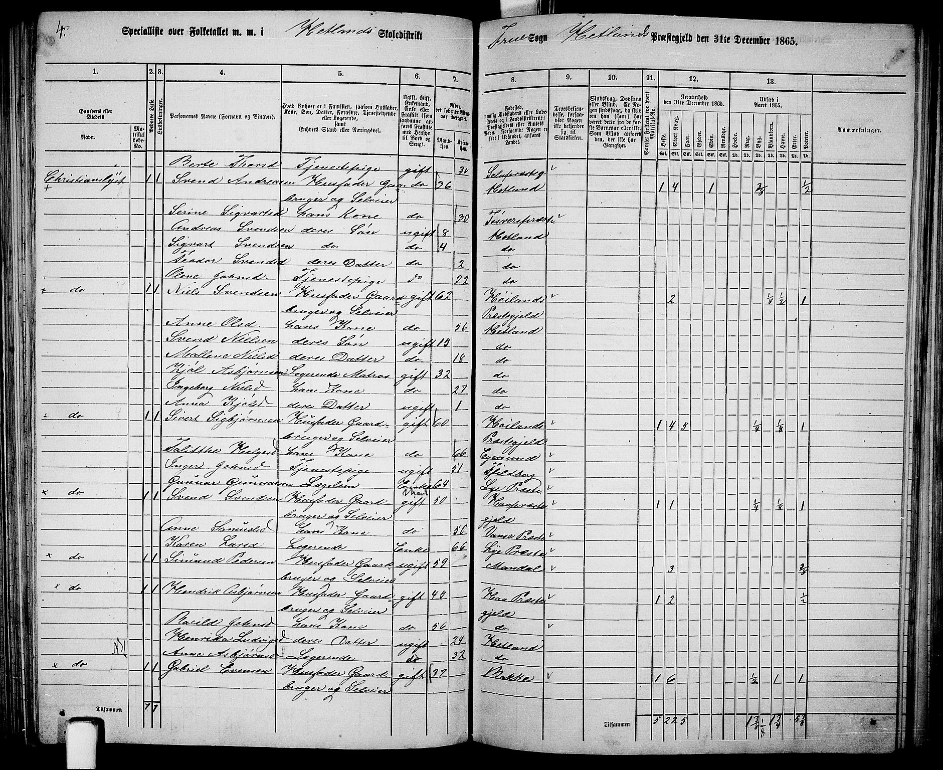 RA, Folketelling 1865 for 1126P Hetland prestegjeld, 1865, s. 118