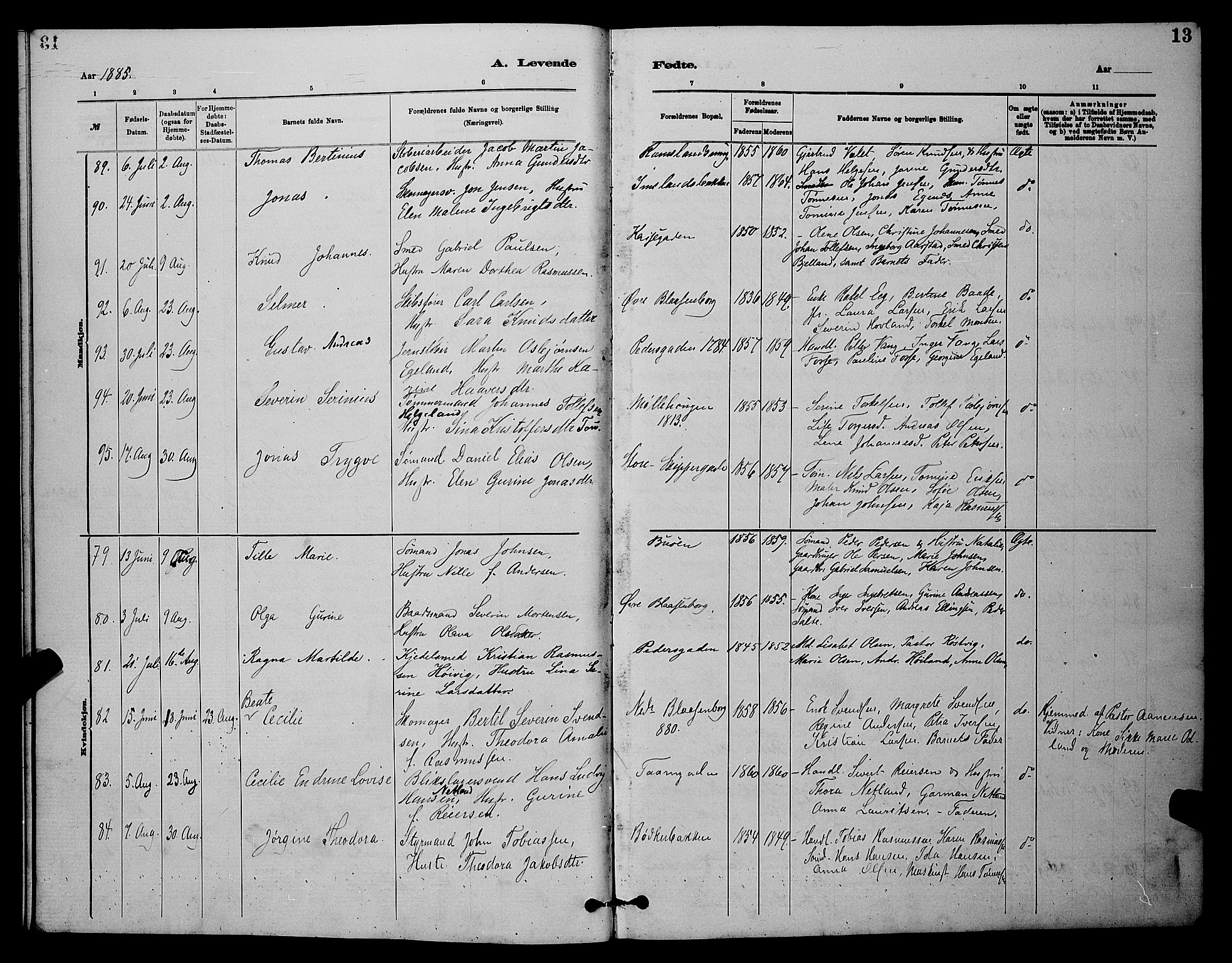 St. Johannes sokneprestkontor, AV/SAST-A-101814/001/30/30BB/L0001: Klokkerbok nr. B 1, 1885-1897, s. 13