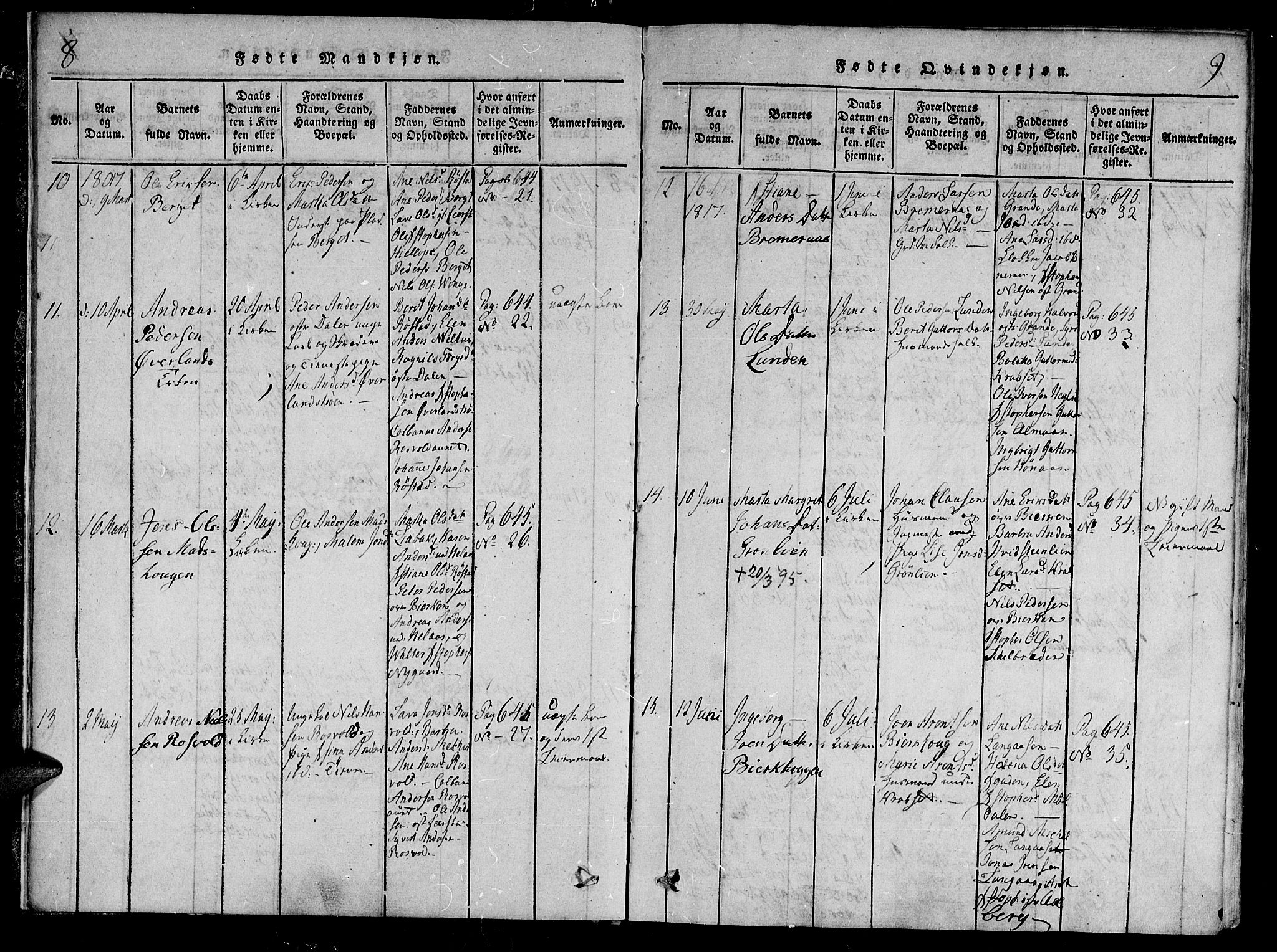 Ministerialprotokoller, klokkerbøker og fødselsregistre - Nord-Trøndelag, AV/SAT-A-1458/701/L0005: Ministerialbok nr. 701A05 /1, 1816-1825, s. 8-9