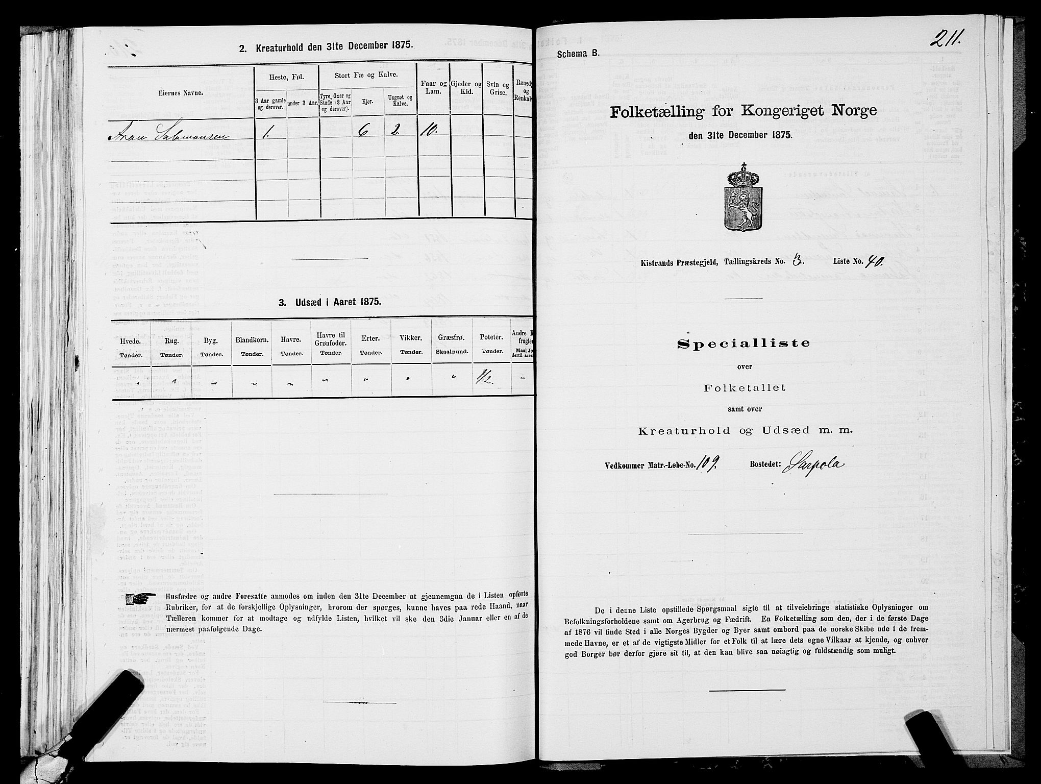 SATØ, Folketelling 1875 for 2020P Kistrand prestegjeld, 1875, s. 1211