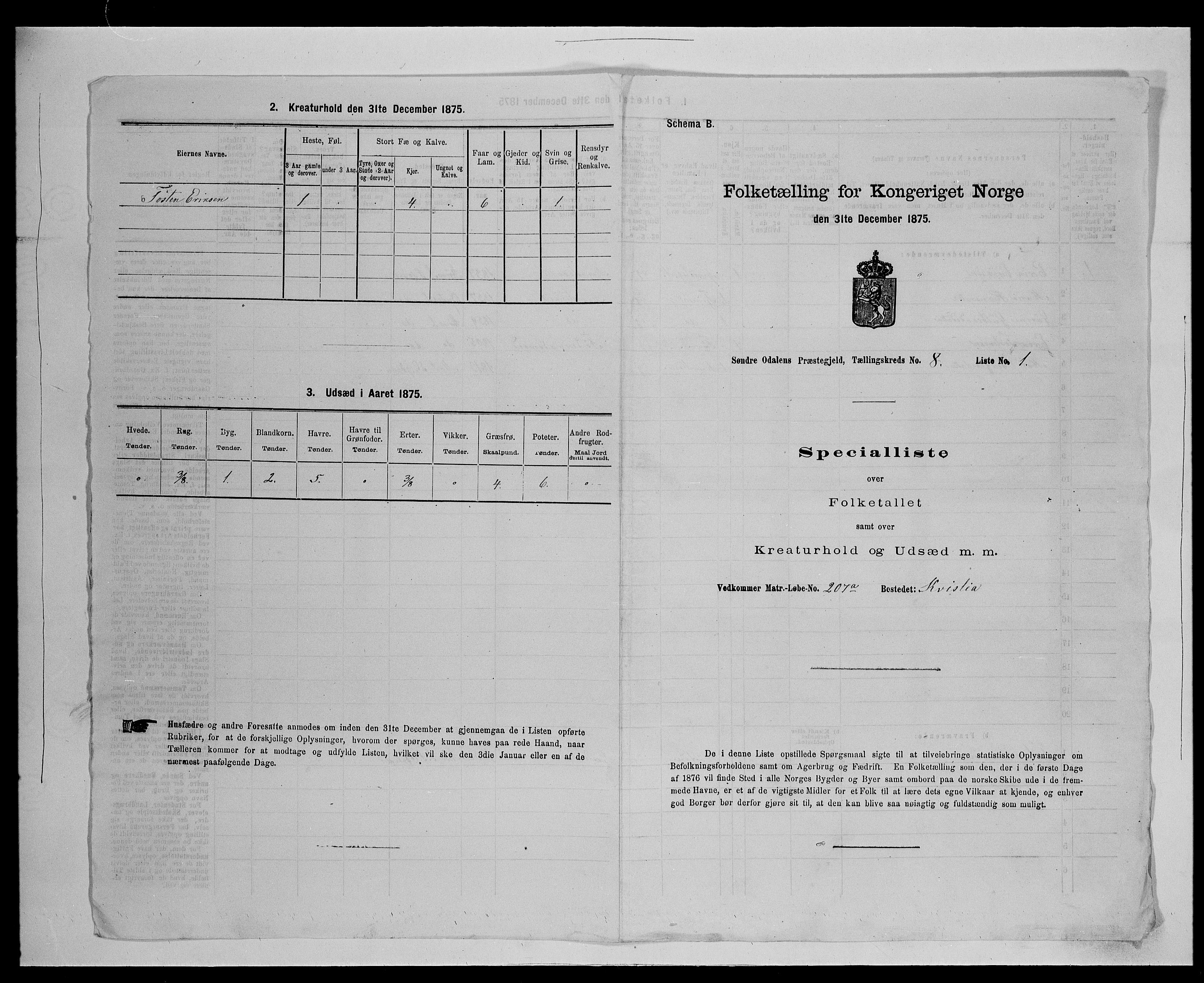 SAH, Folketelling 1875 for 0419P Sør-Odal prestegjeld, 1875, s. 733