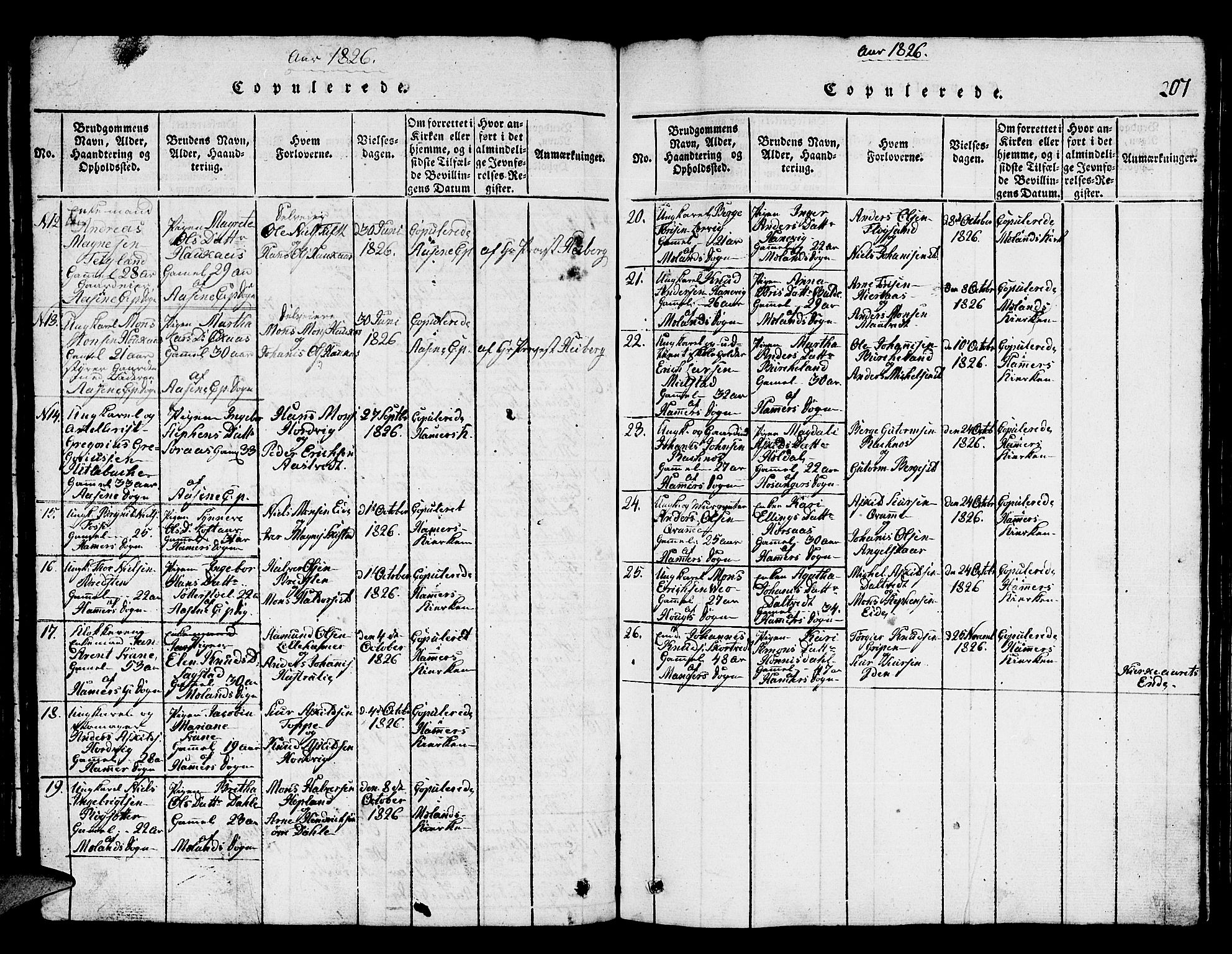 Hamre sokneprestembete, SAB/A-75501/H/Ha/Hab: Klokkerbok nr. A 1, 1816-1826, s. 207