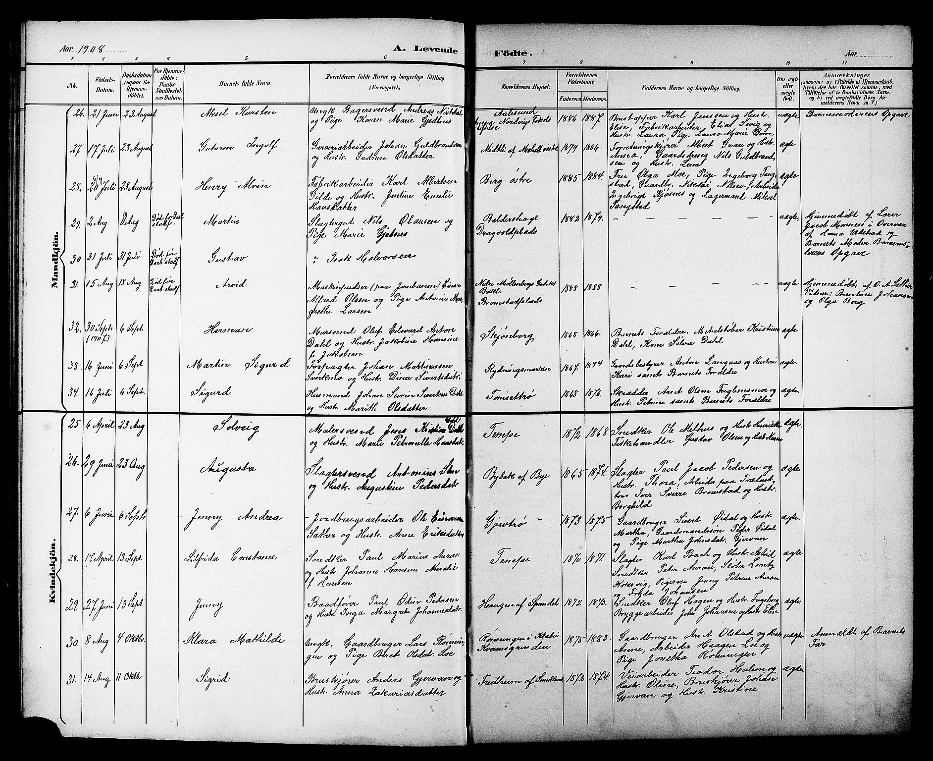 Ministerialprotokoller, klokkerbøker og fødselsregistre - Sør-Trøndelag, AV/SAT-A-1456/606/L0313: Klokkerbok nr. 606C09, 1895-1910