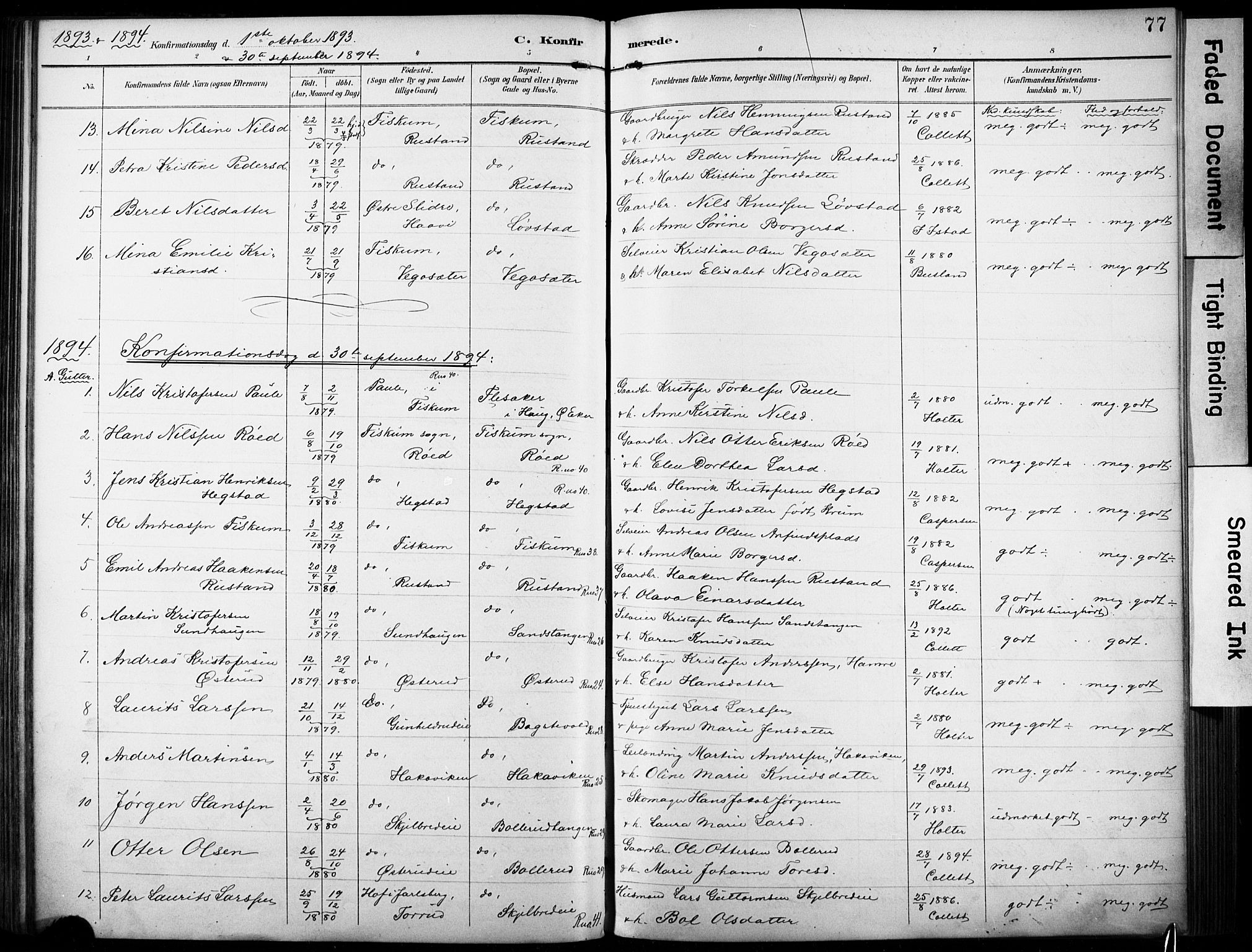 Fiskum kirkebøker, AV/SAKO-A-15/F/Fa/L0003: Ministerialbok nr. 3, 1890-1905, s. 77