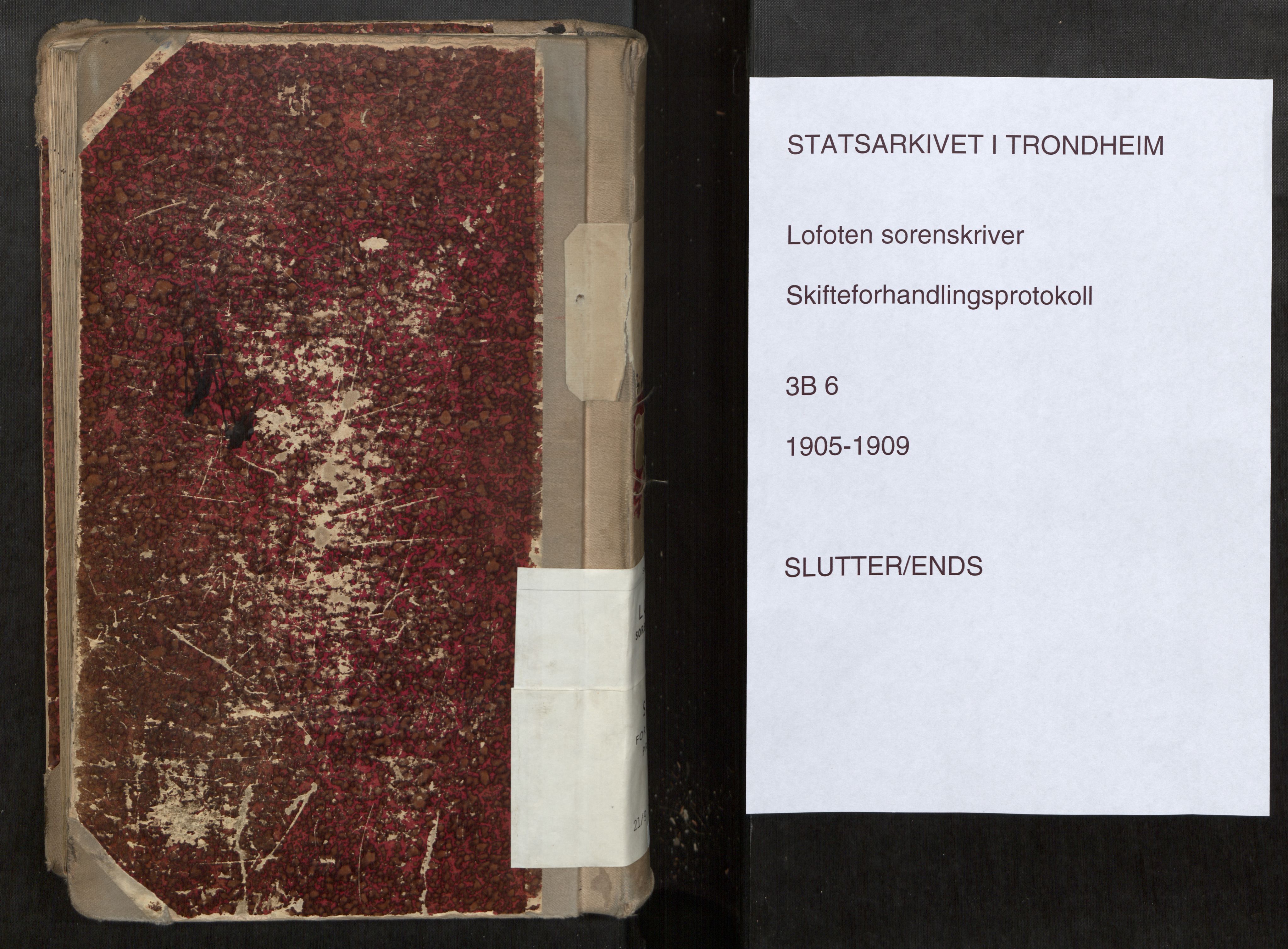 Lofoten sorenskriveri, SAT/A-0017/1/3/3B/L0006: Skifteforhandlings-protokoll, 1905-1909