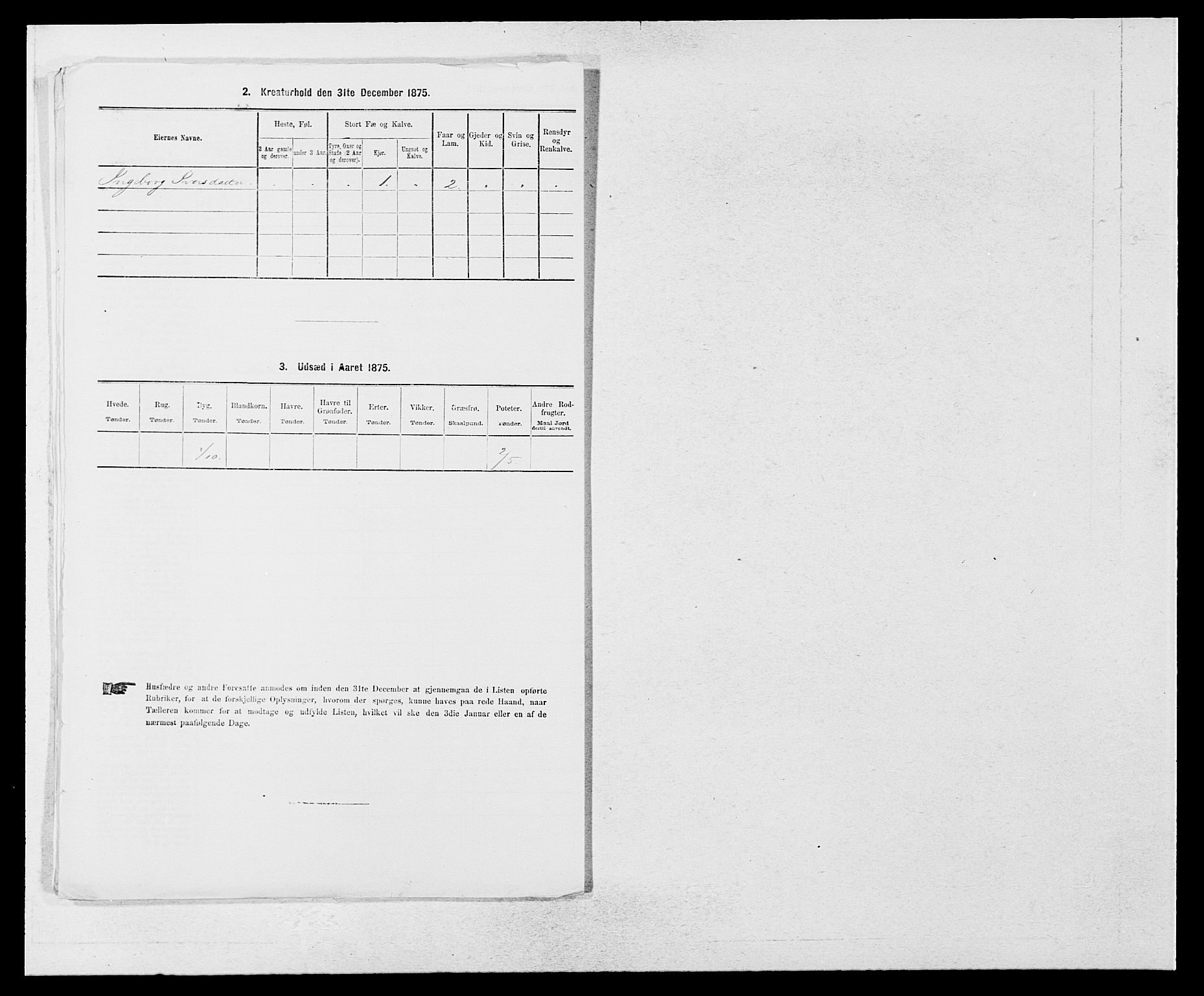 SAB, Folketelling 1875 for 1420P Sogndal prestegjeld, 1875, s. 594