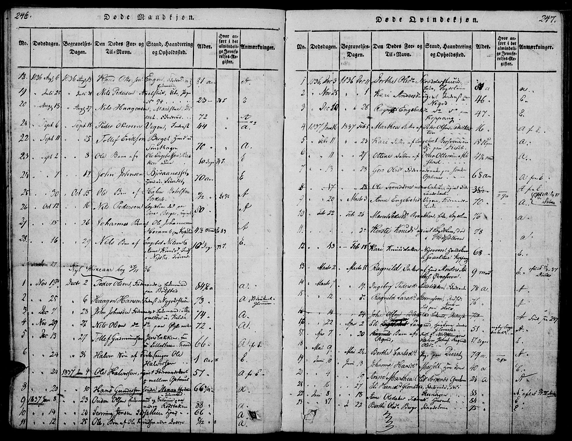 Åmot prestekontor, Hedmark, AV/SAH-PREST-056/H/Ha/Haa/L0005: Ministerialbok nr. 5, 1815-1841, s. 246-247