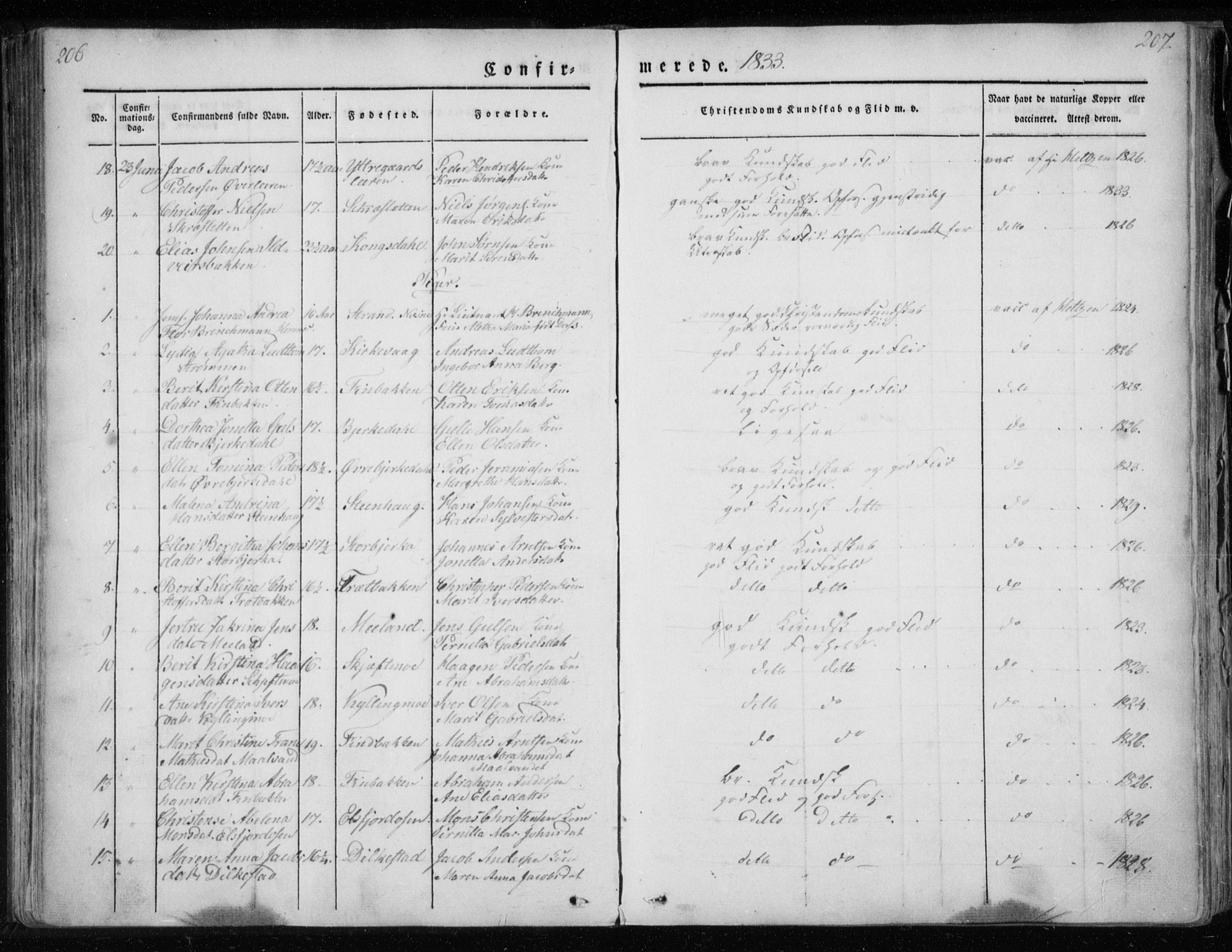 Ministerialprotokoller, klokkerbøker og fødselsregistre - Nordland, AV/SAT-A-1459/825/L0354: Ministerialbok nr. 825A08, 1826-1841, s. 206-207