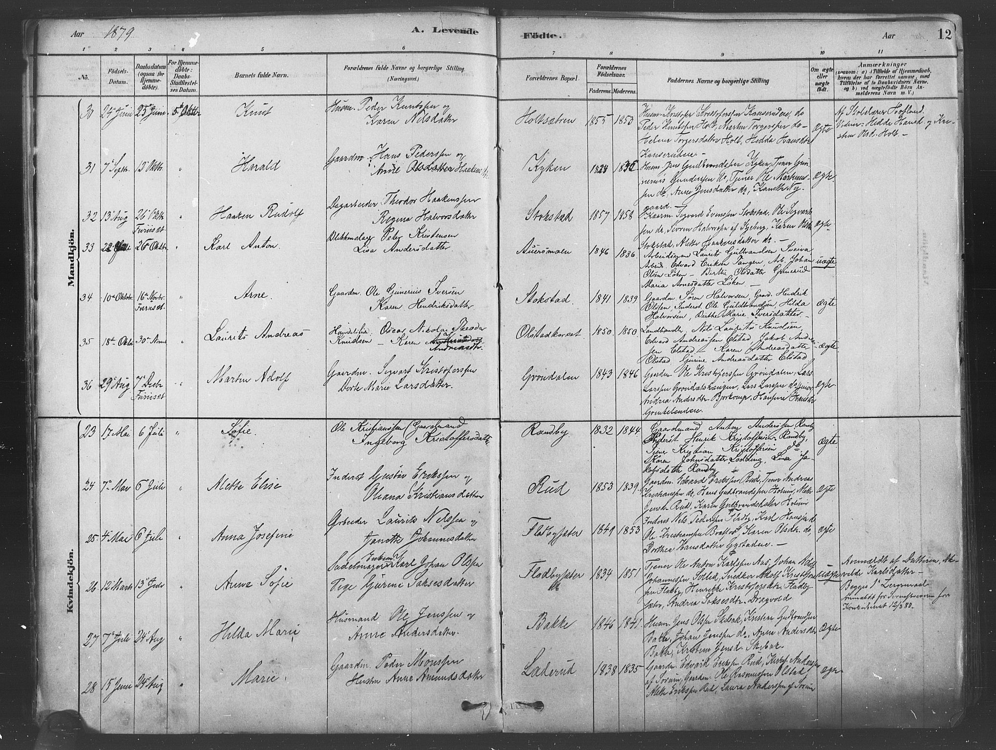 Ullensaker prestekontor Kirkebøker, AV/SAO-A-10236a/F/Fa/L0019: Ministerialbok nr. I 19, 1878-1891, s. 12