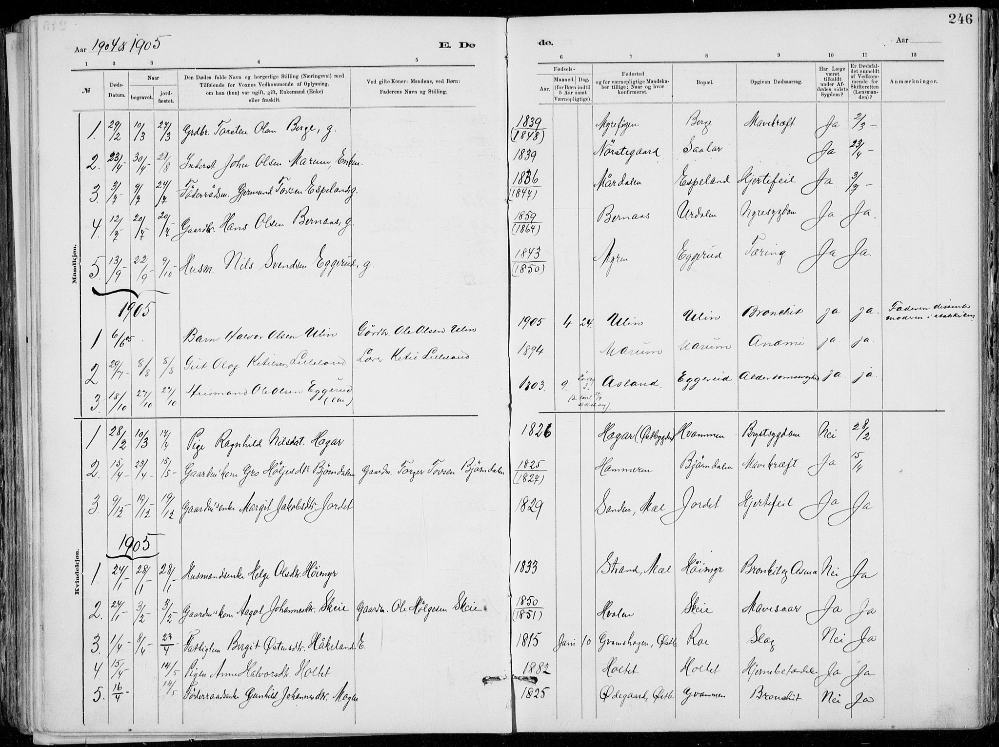 Tinn kirkebøker, AV/SAKO-A-308/F/Fa/L0007: Ministerialbok nr. I 7, 1878-1922, s. 246
