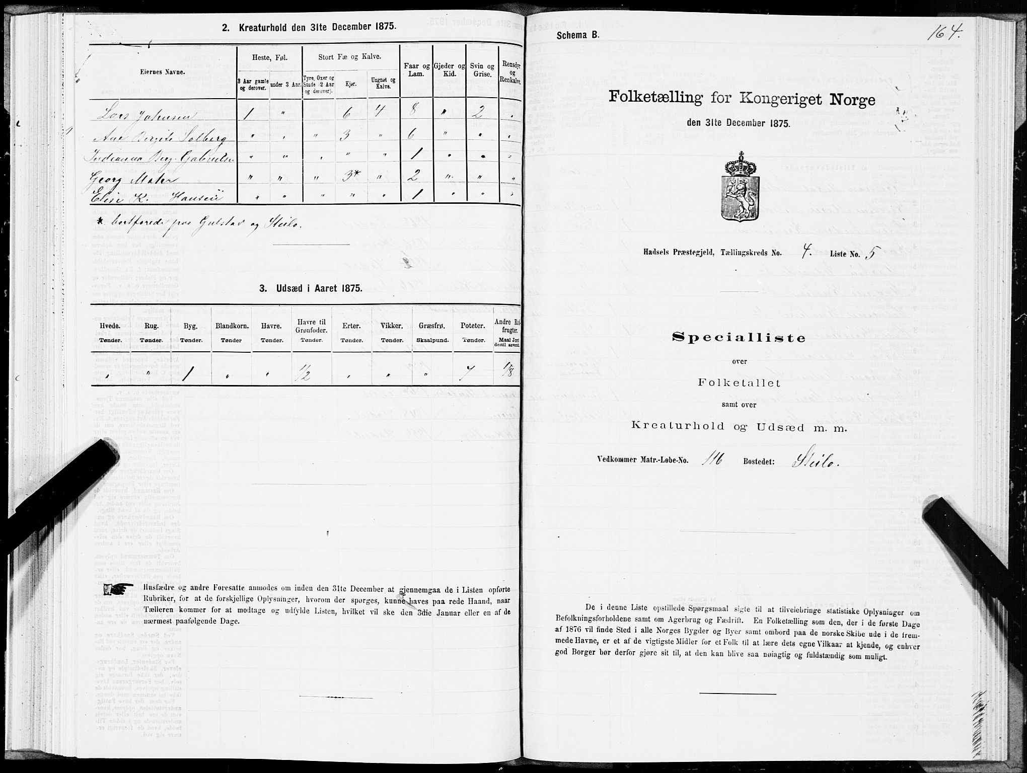 SAT, Folketelling 1875 for 1866P Hadsel prestegjeld, 1875, s. 2164