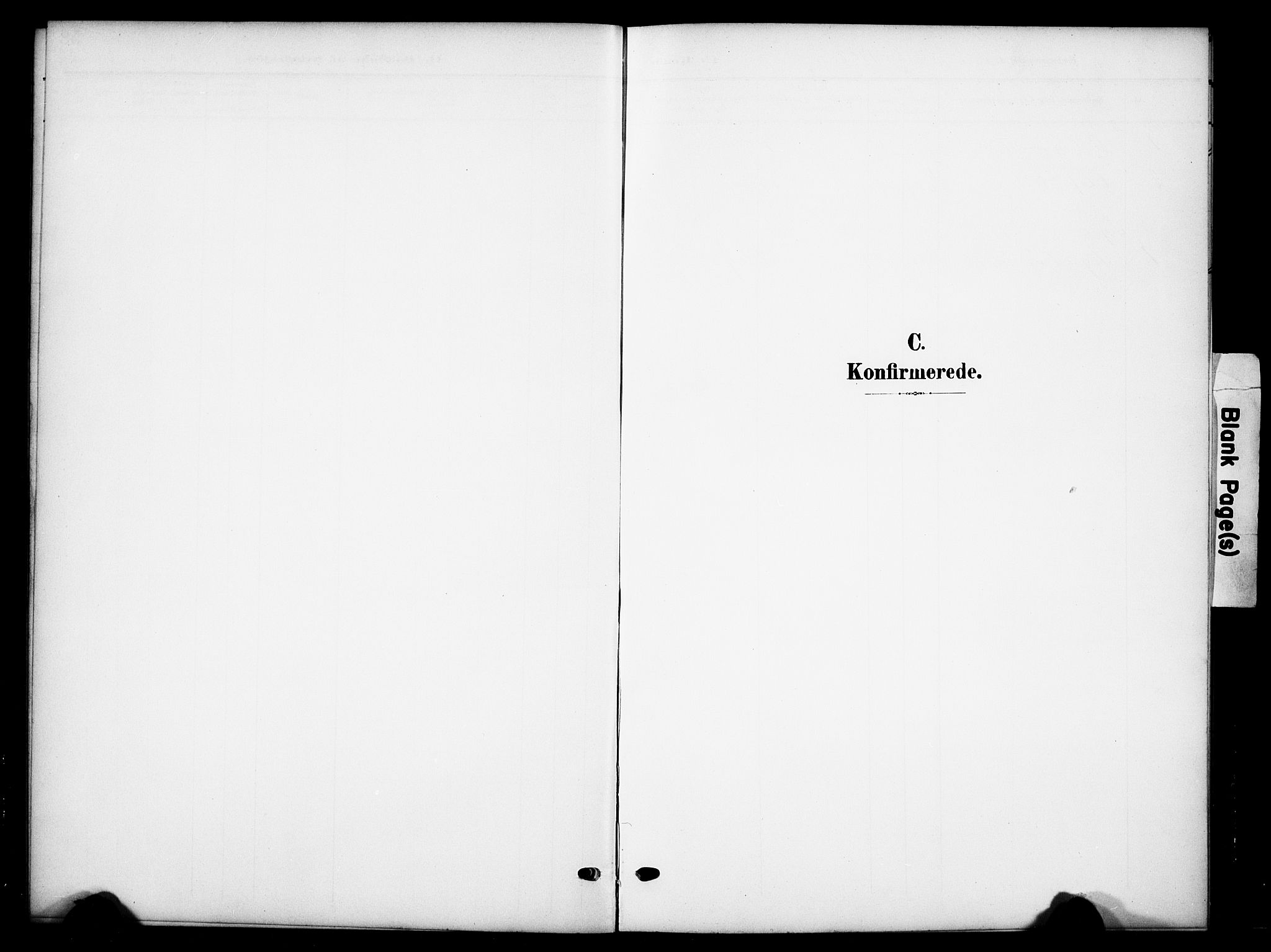 Tynset prestekontor, SAH/PREST-058/H/Ha/Hab/L0010: Klokkerbok nr. 10, 1902-1929