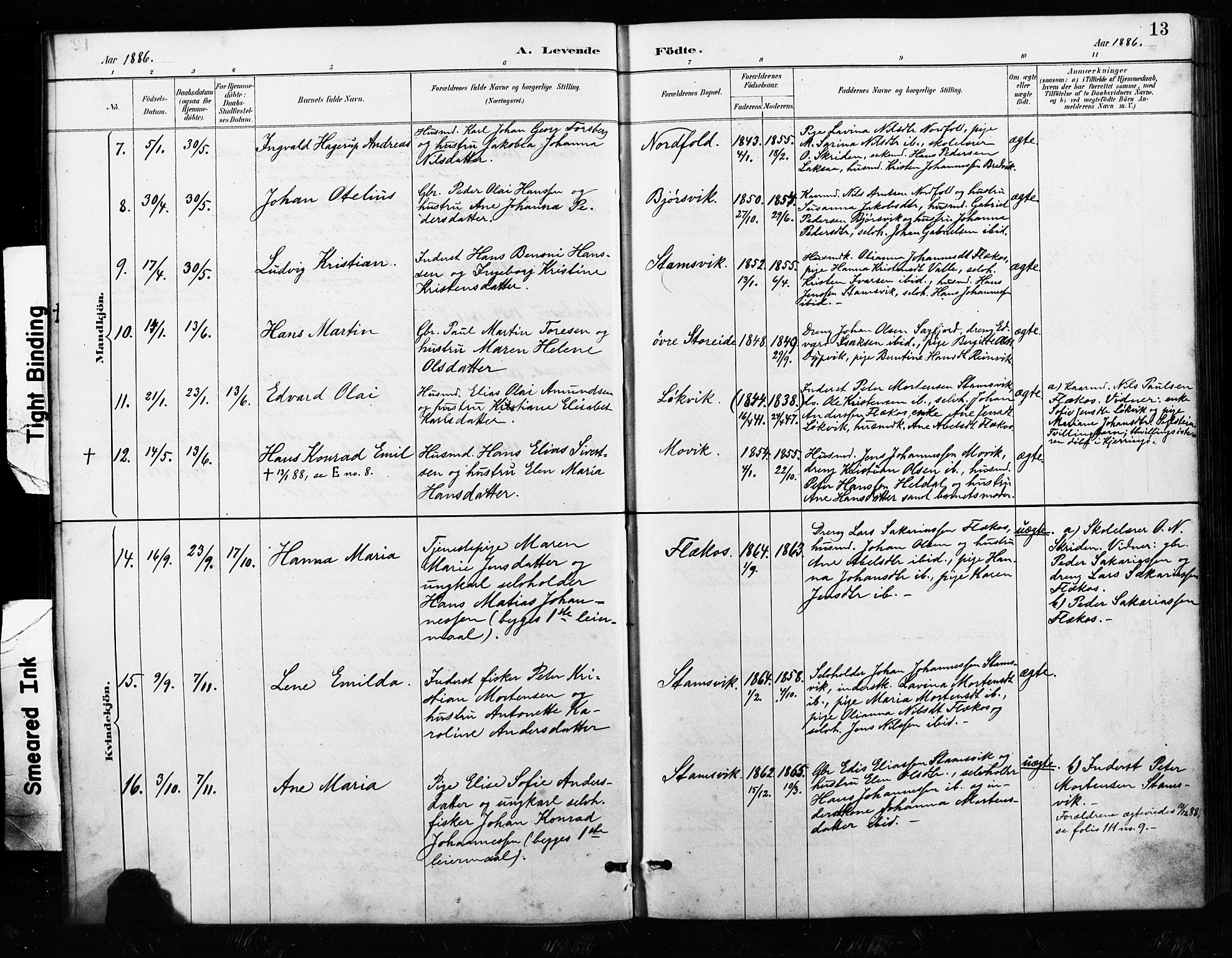 Ministerialprotokoller, klokkerbøker og fødselsregistre - Nordland, AV/SAT-A-1459/858/L0834: Klokkerbok nr. 858C01, 1884-1904, s. 13