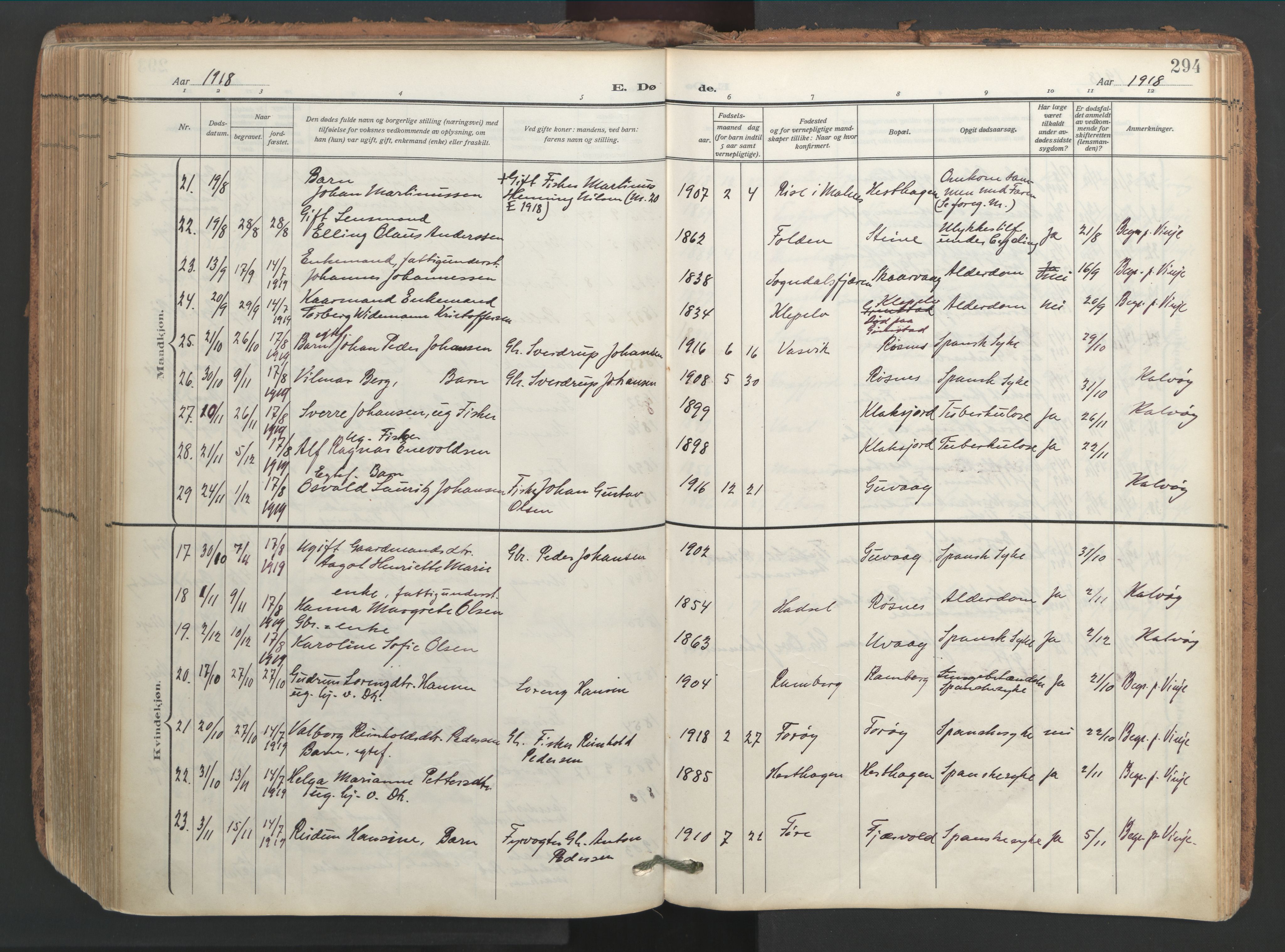 Ministerialprotokoller, klokkerbøker og fødselsregistre - Nordland, AV/SAT-A-1459/891/L1306: Ministerialbok nr. 891A11, 1911-1927, s. 294
