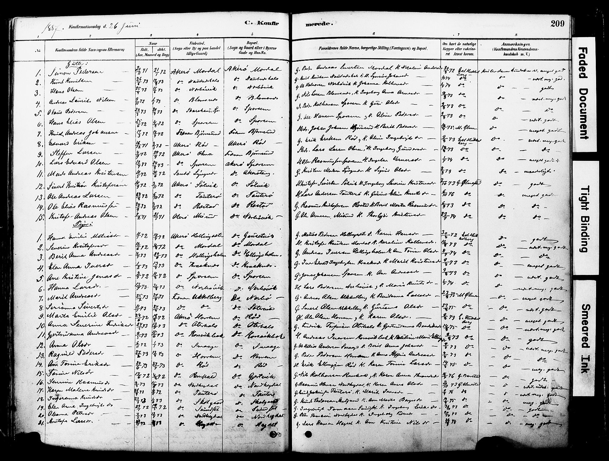 Ministerialprotokoller, klokkerbøker og fødselsregistre - Møre og Romsdal, SAT/A-1454/560/L0721: Ministerialbok nr. 560A05, 1878-1917, s. 209