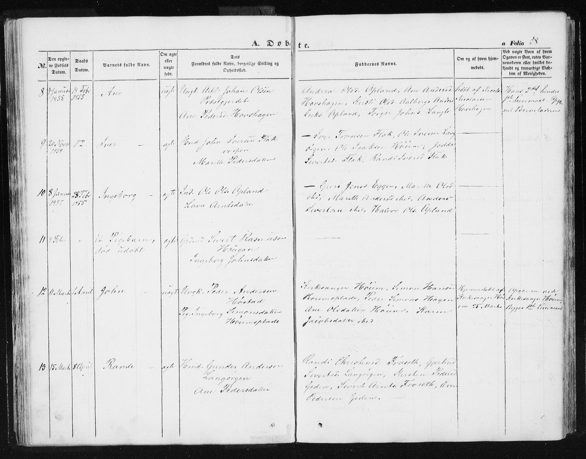 Ministerialprotokoller, klokkerbøker og fødselsregistre - Sør-Trøndelag, SAT/A-1456/612/L0376: Ministerialbok nr. 612A08, 1846-1859, s. 58
