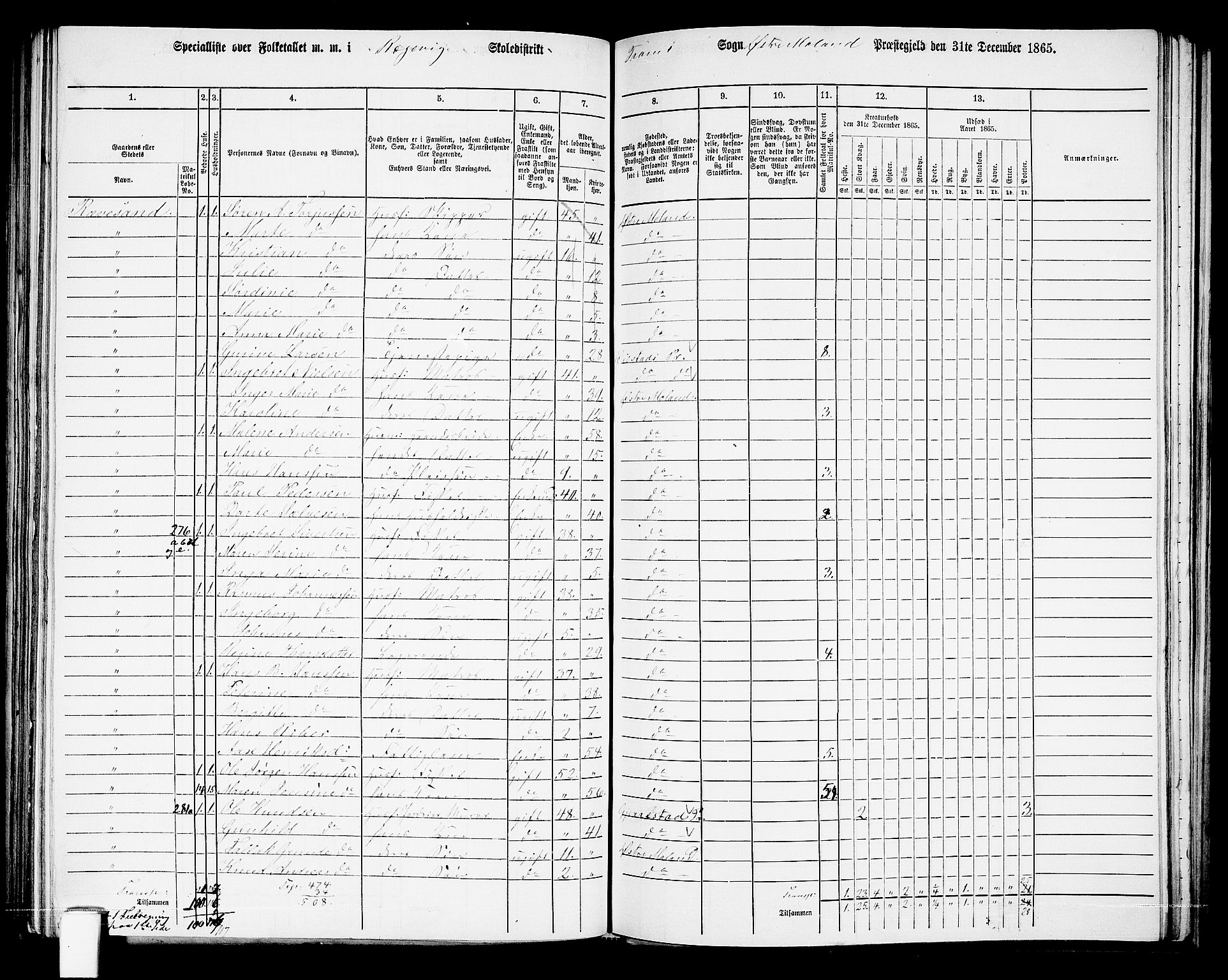 RA, Folketelling 1865 for 0918P Austre Moland prestegjeld, 1865, s. 248