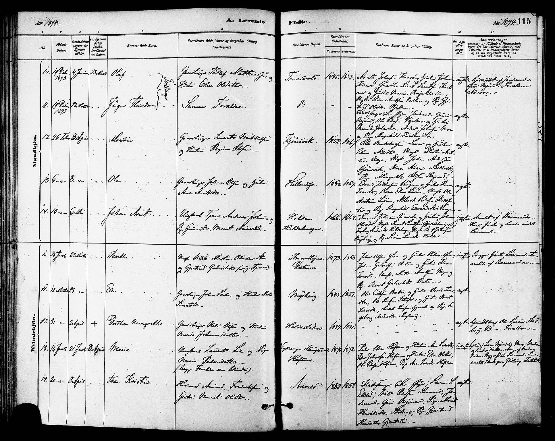 Ministerialprotokoller, klokkerbøker og fødselsregistre - Sør-Trøndelag, SAT/A-1456/630/L0496: Ministerialbok nr. 630A09, 1879-1895, s. 115
