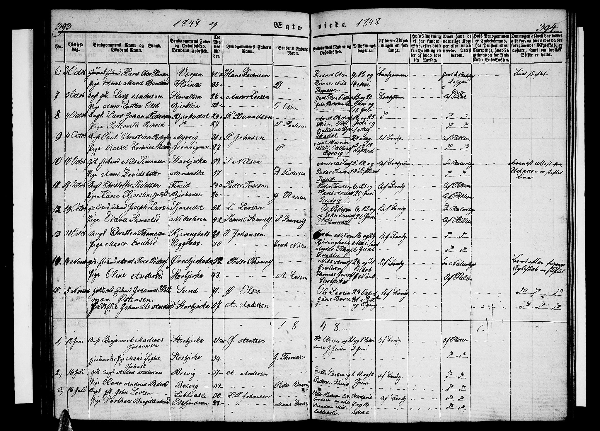 Ministerialprotokoller, klokkerbøker og fødselsregistre - Nordland, AV/SAT-A-1459/825/L0364: Klokkerbok nr. 825C01, 1841-1863, s. 393-394