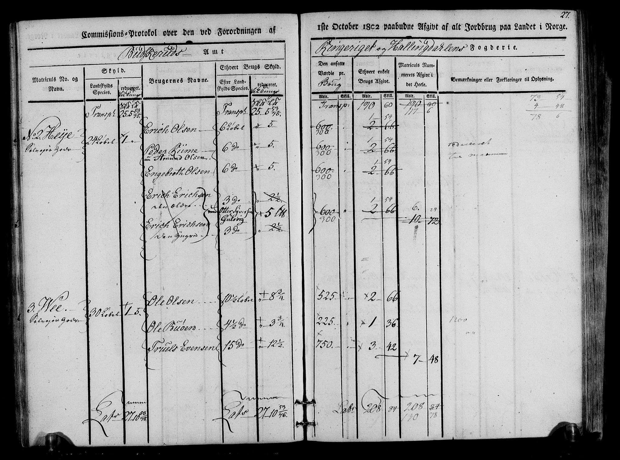 Rentekammeret inntil 1814, Realistisk ordnet avdeling, RA/EA-4070/N/Ne/Nea/L0047: Ringerike og Hallingdal fogderi. Kommisjonsprotokoll for Nes prestegjeld, 1803, s. 29