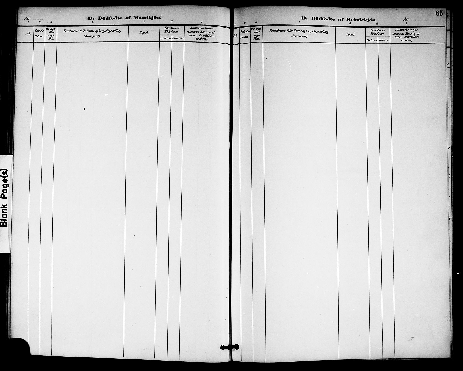 Gransherad kirkebøker, SAKO/A-267/G/Gb/L0003: Klokkerbok nr. II 3, 1887-1921, s. 65