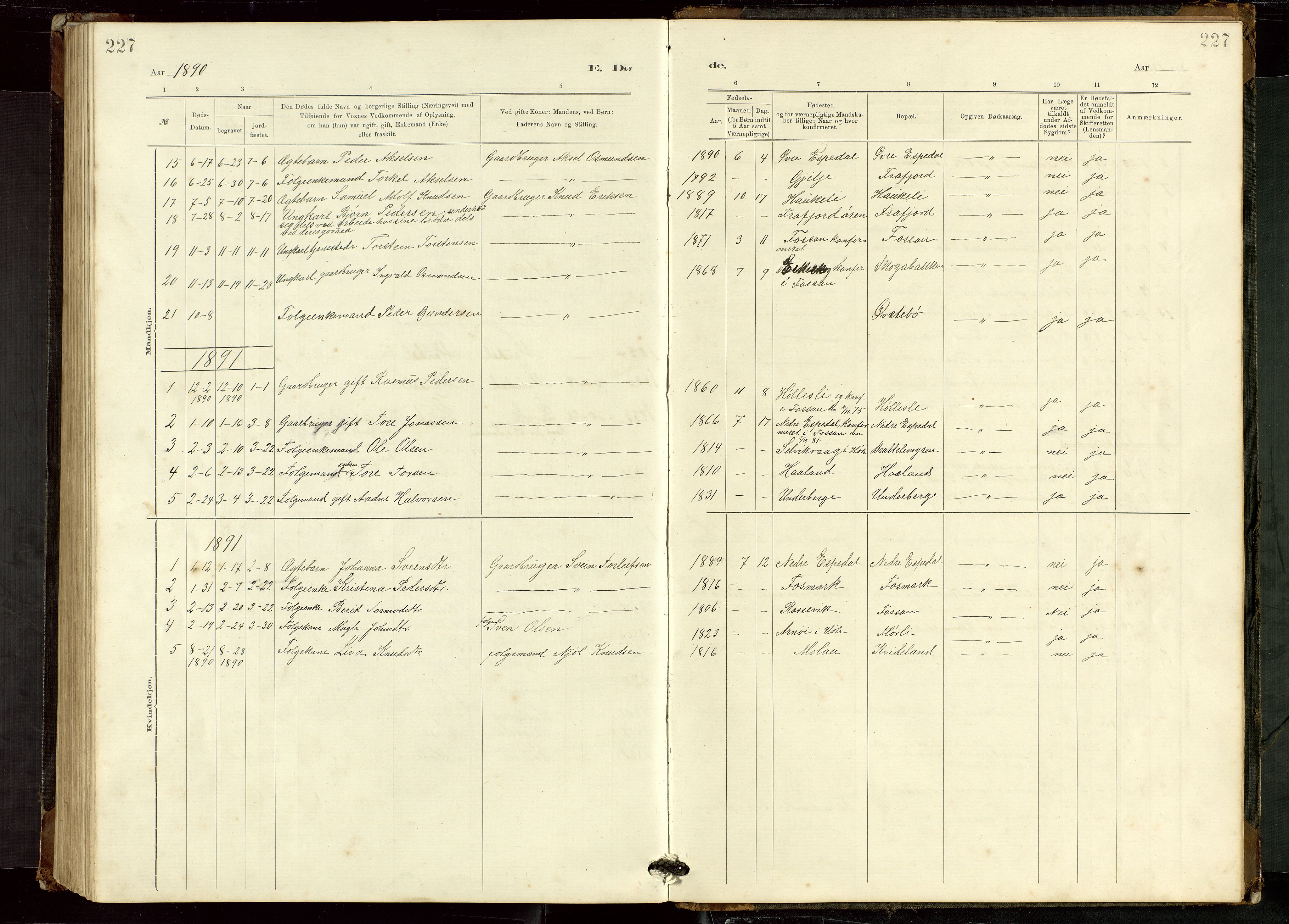 Høgsfjord sokneprestkontor, SAST/A-101624/H/Ha/Hab/L0009: Klokkerbok nr. B 9, 1883-1920, s. 227