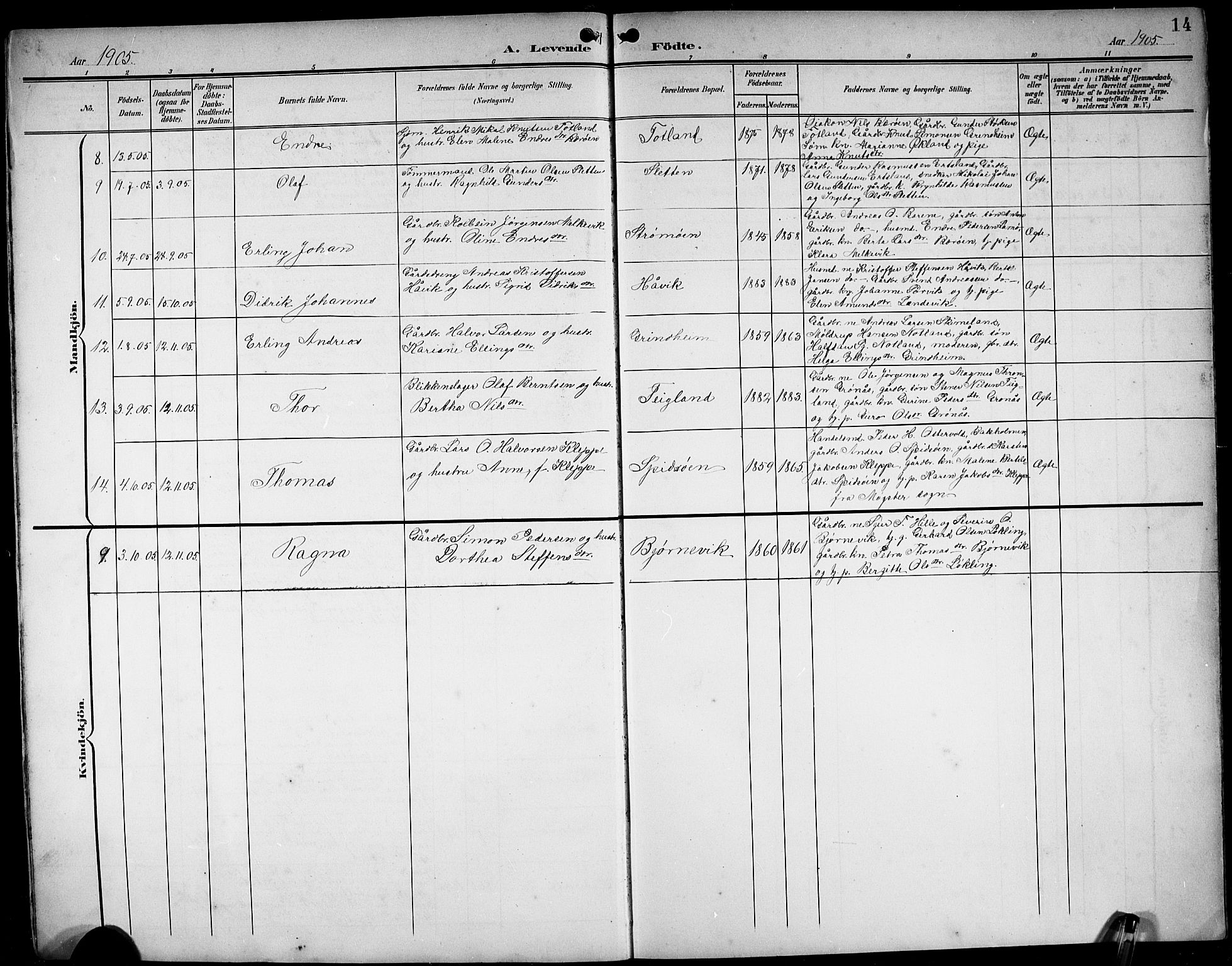 Finnås sokneprestembete, AV/SAB-A-99925/H/Ha/Hab/Haba/L0004: Klokkerbok nr. A 4, 1901-1924, s. 14