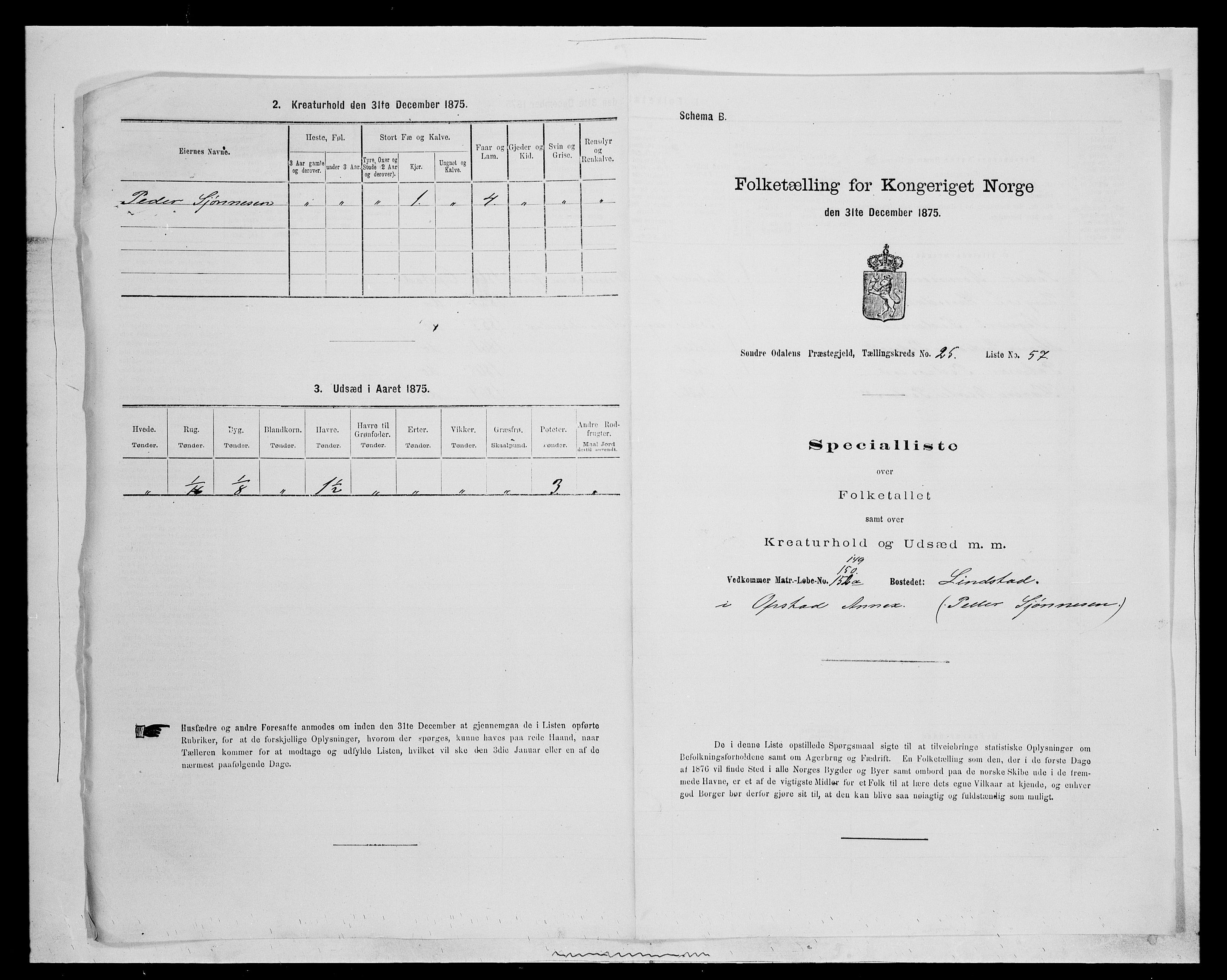 SAH, Folketelling 1875 for 0419P Sør-Odal prestegjeld, 1875, s. 2209