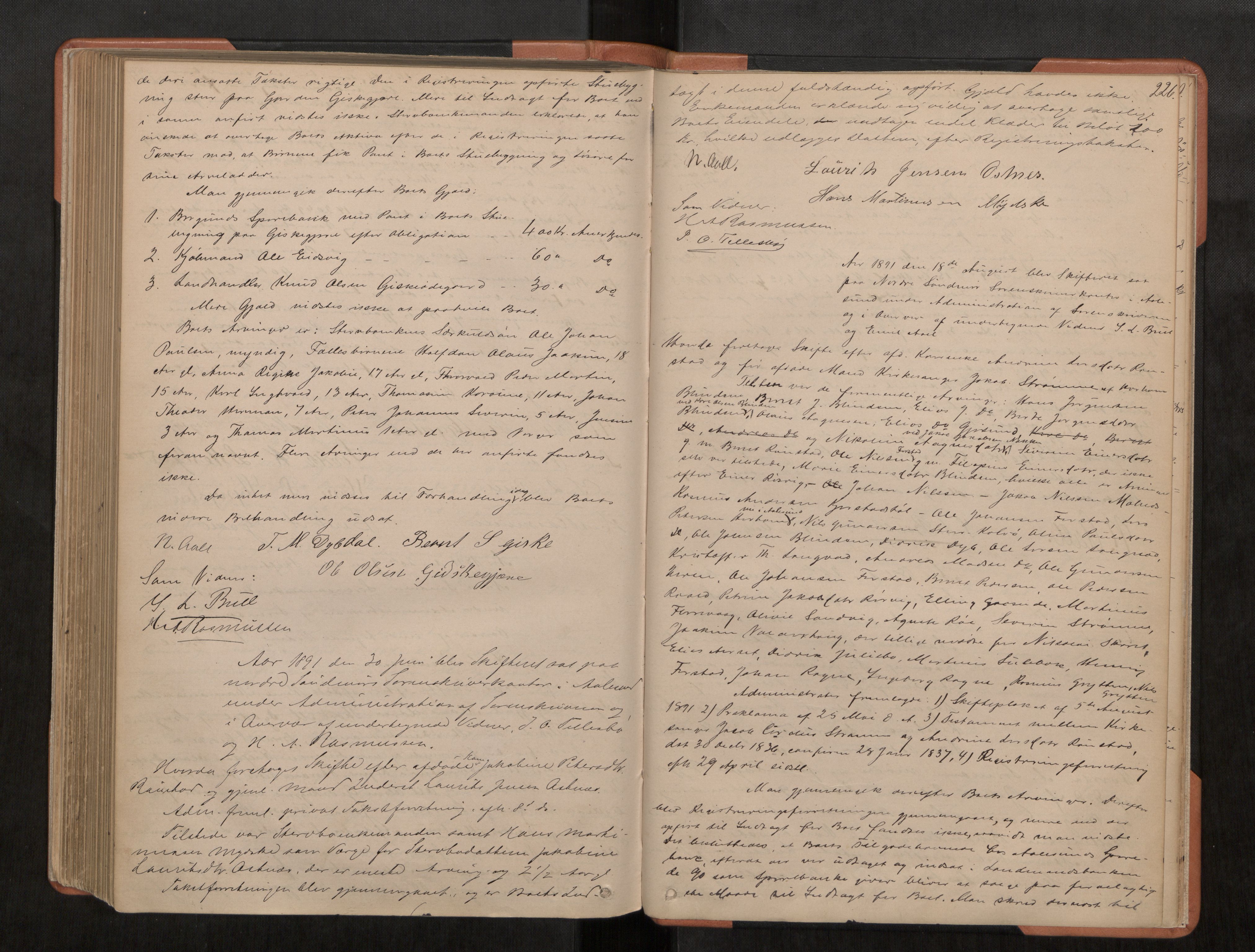 Nordre Sunnmøre sorenskriveri, AV/SAT-A-0006/1/3/3B/L0002: Skiftebehandlingsprotokoll 2, 1877-1892, s. 226