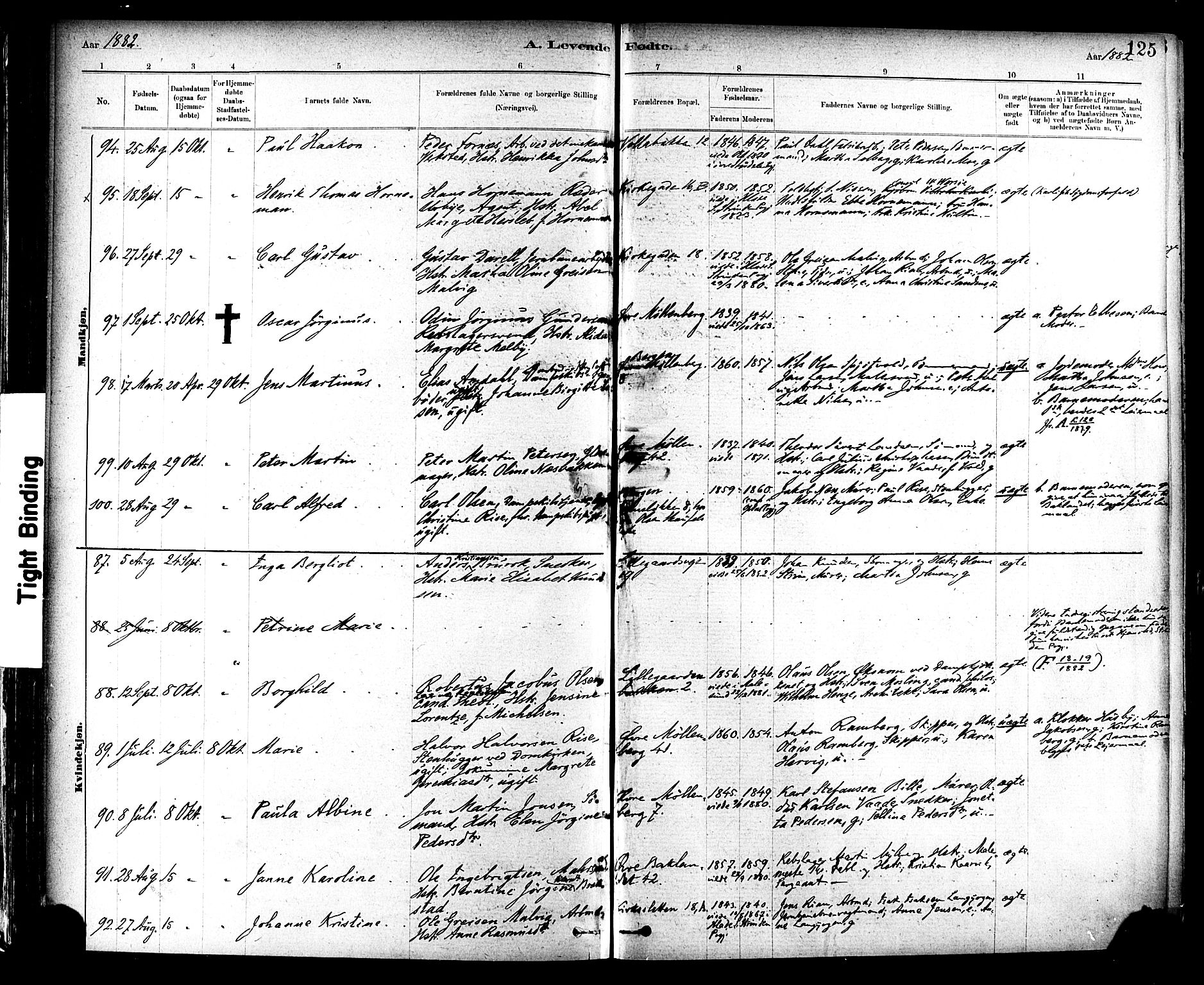 Ministerialprotokoller, klokkerbøker og fødselsregistre - Sør-Trøndelag, SAT/A-1456/604/L0188: Ministerialbok nr. 604A09, 1878-1892, s. 125