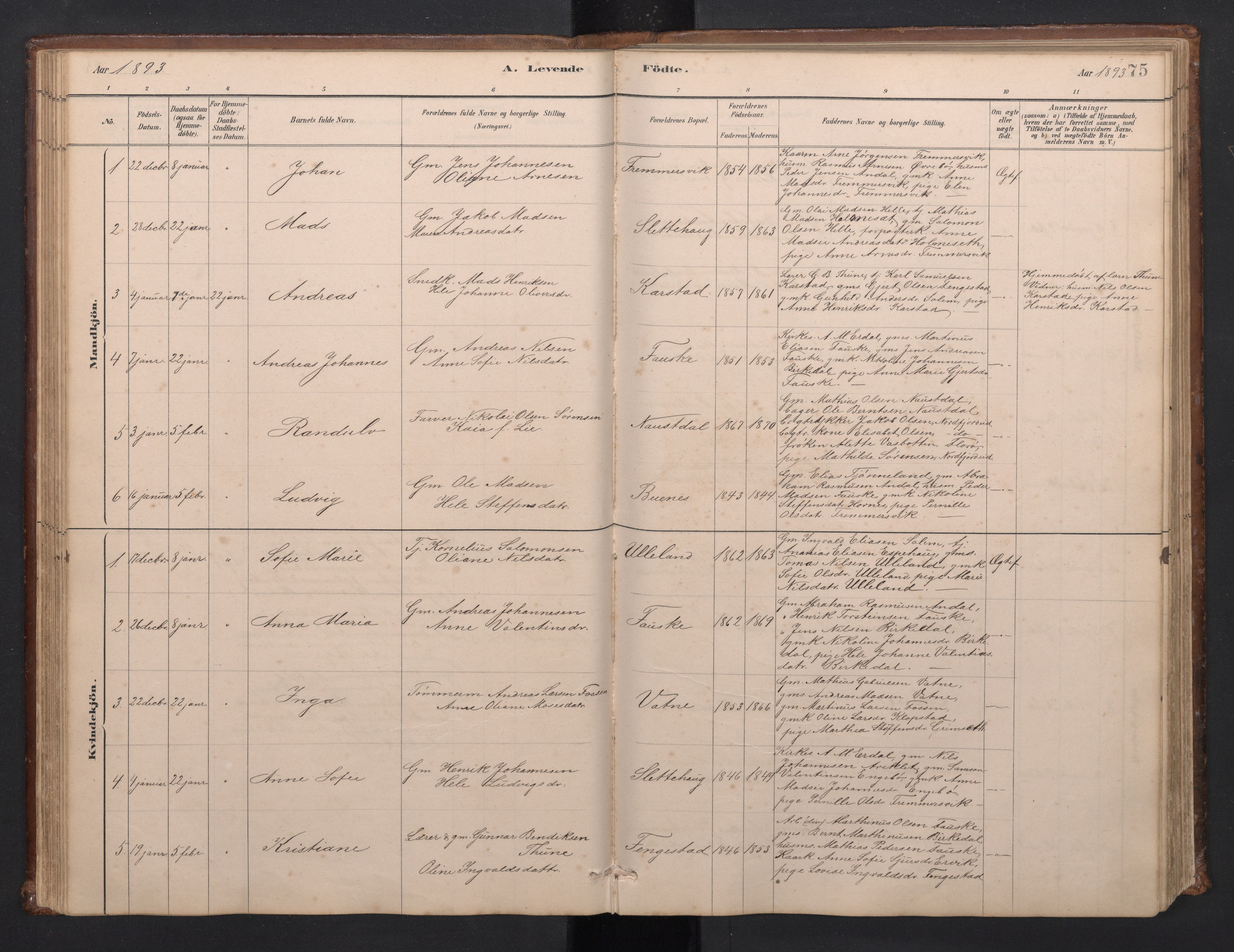 Førde sokneprestembete, AV/SAB-A-79901/H/Hab/Habd/L0003: Klokkerbok nr. D 3, 1881-1897, s. 74b-75a