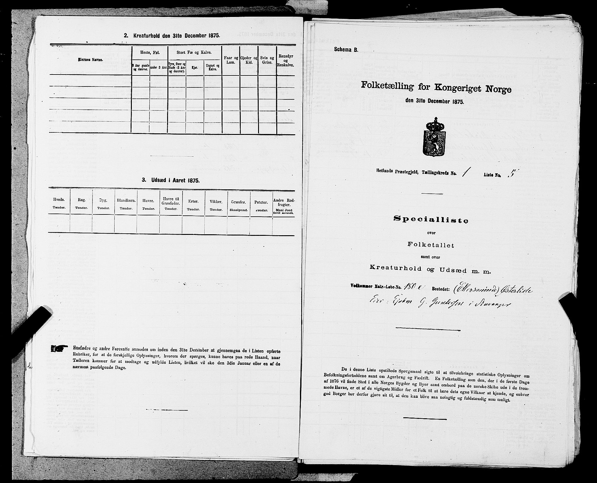 SAST, Folketelling 1875 for 1126P Hetland prestegjeld, 1875, s. 80