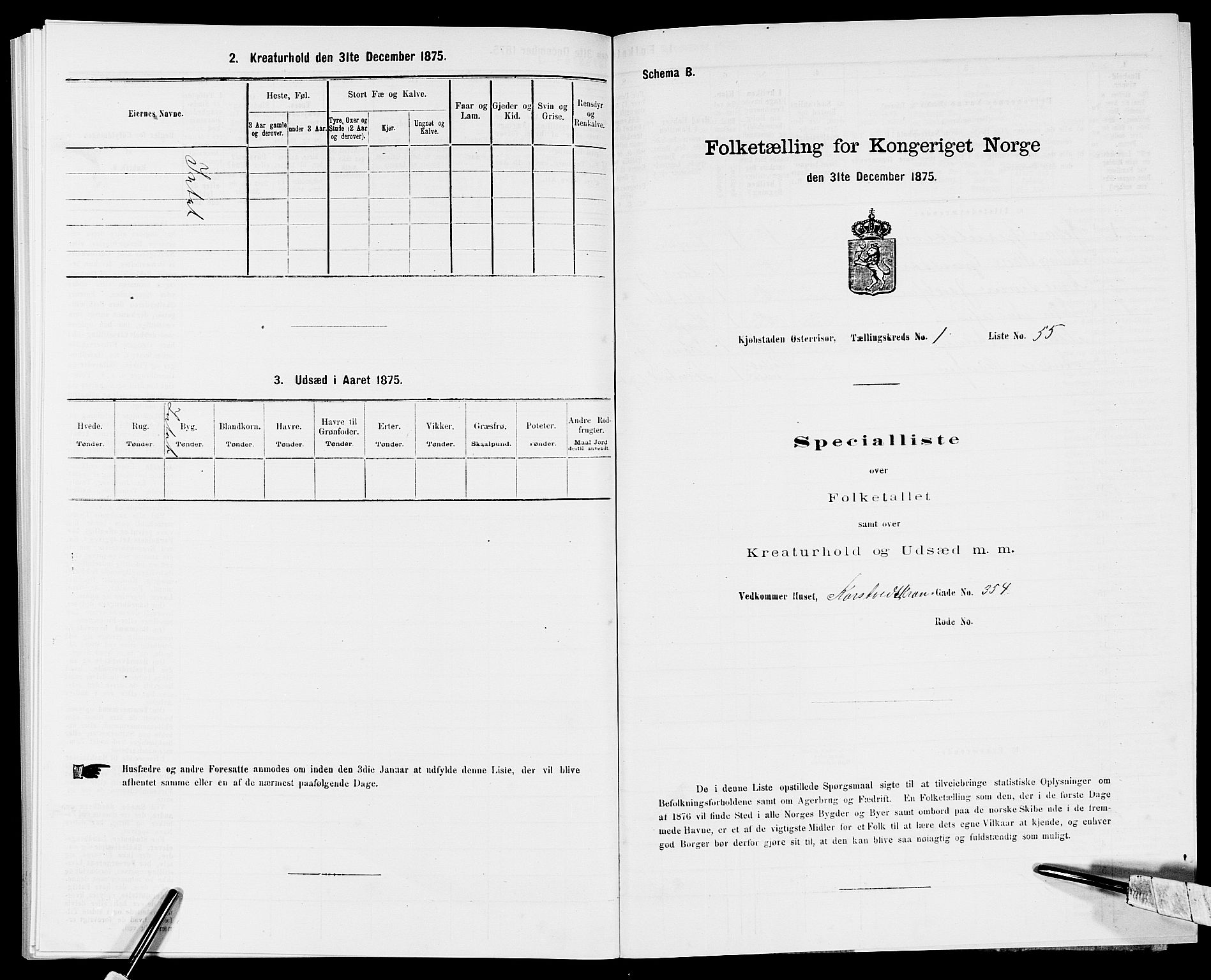 SAK, Folketelling 1875 for 0901B Risør prestegjeld, Risør kjøpstad, 1875, s. 133