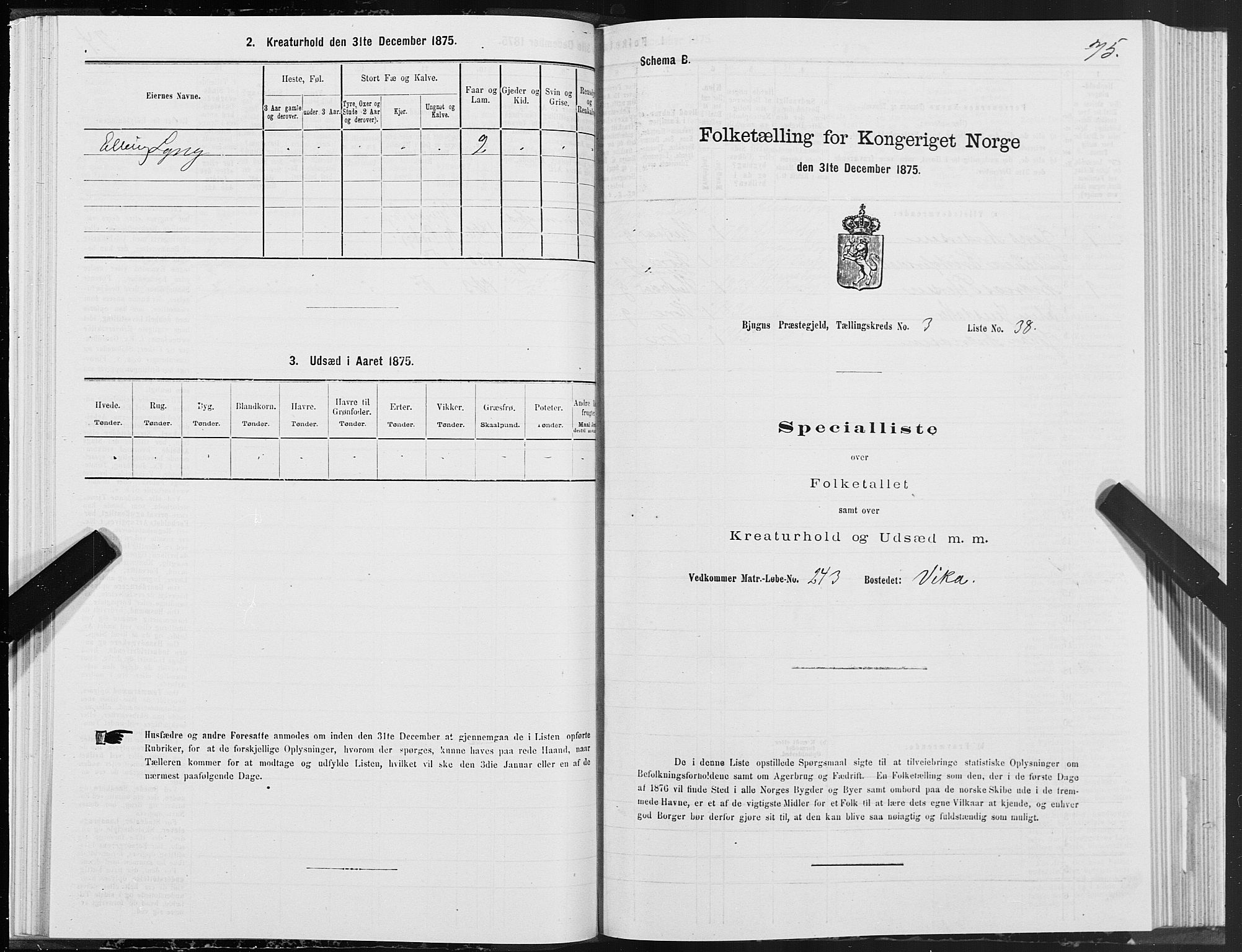 SAT, Folketelling 1875 for 1627P Bjugn prestegjeld, 1875, s. 2075