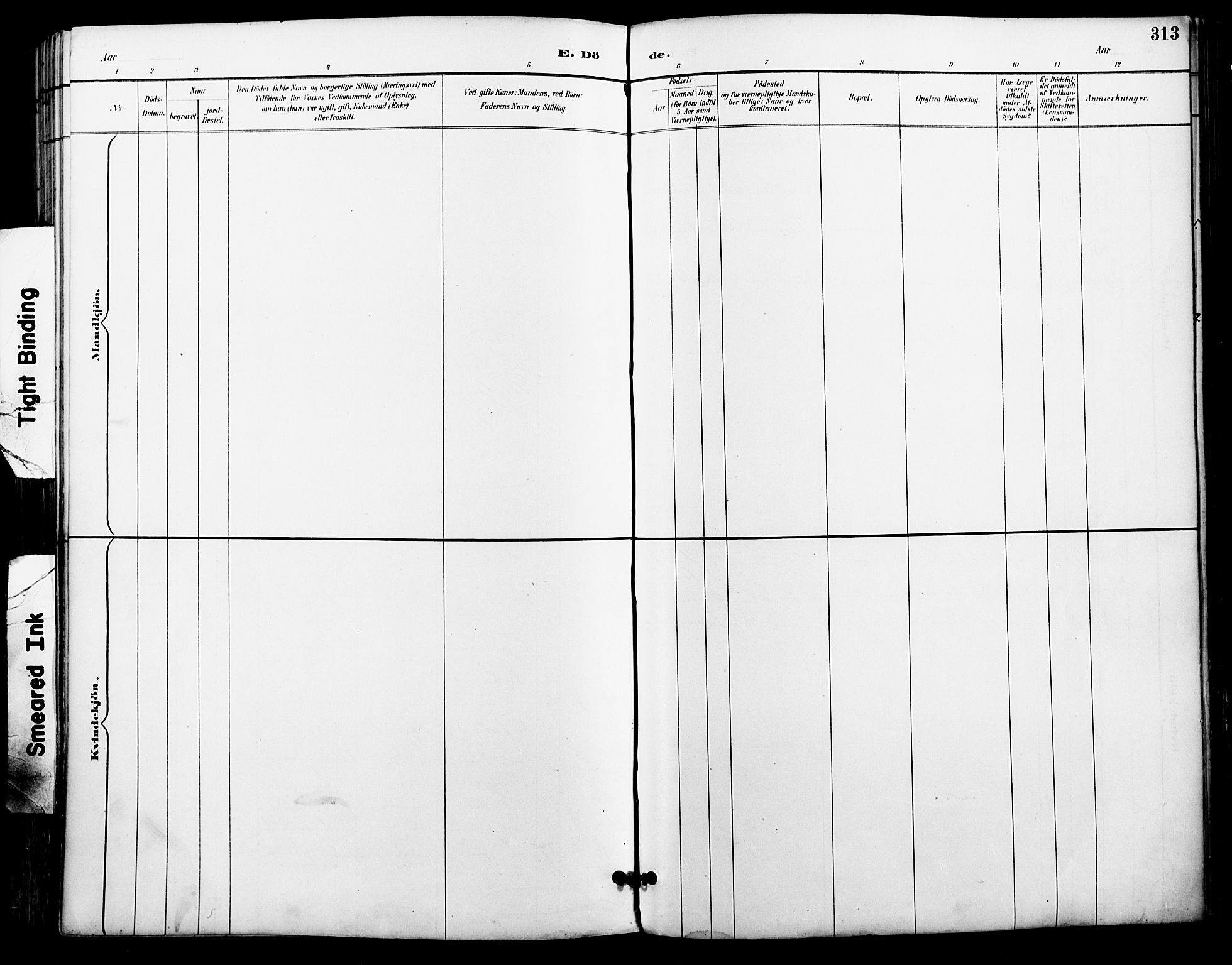 Ministerialprotokoller, klokkerbøker og fødselsregistre - Nordland, AV/SAT-A-1459/801/L0010: Ministerialbok nr. 801A10, 1888-1899, s. 313