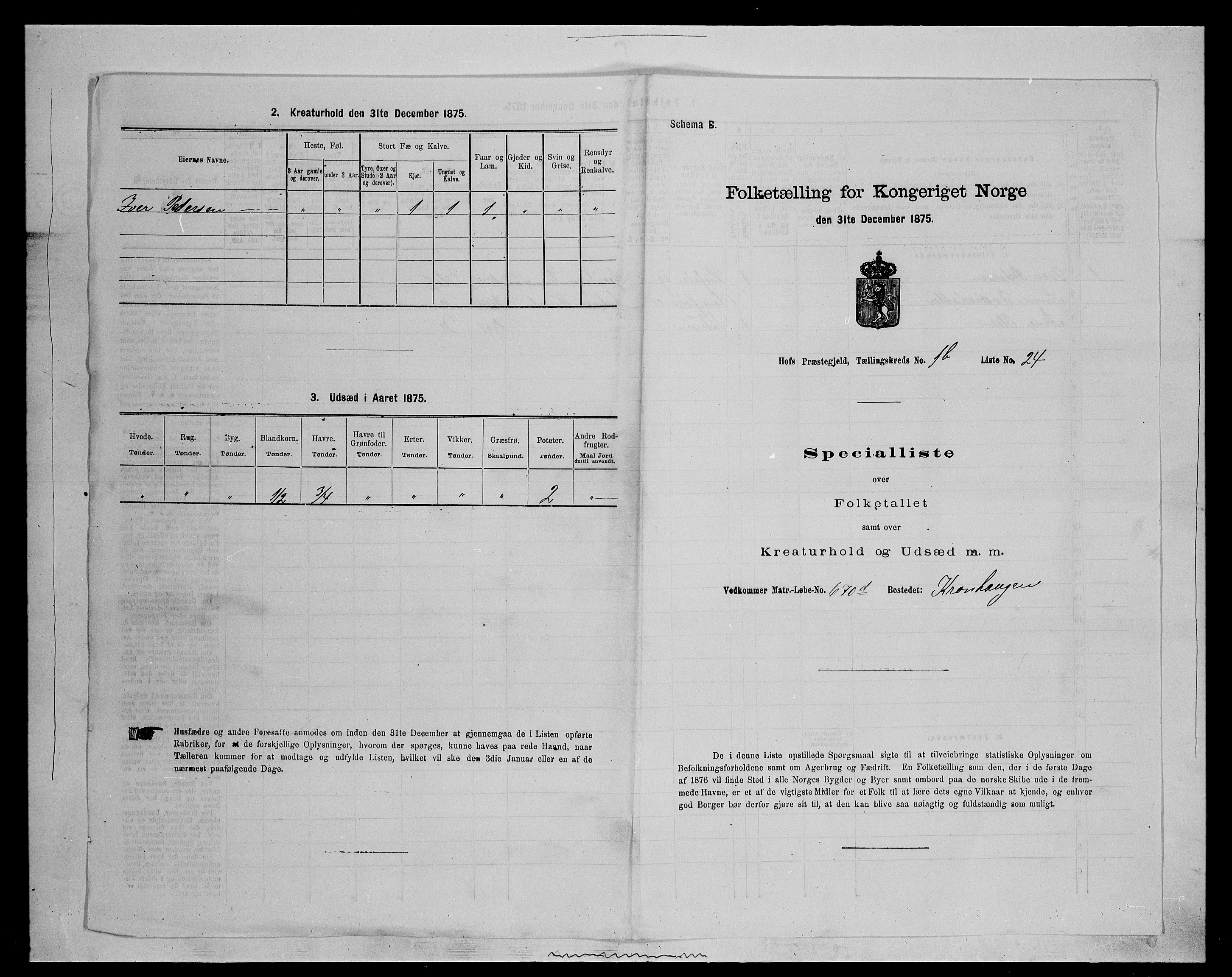 SAH, Folketelling 1875 for 0424P Hof prestegjeld, 1875, s. 227